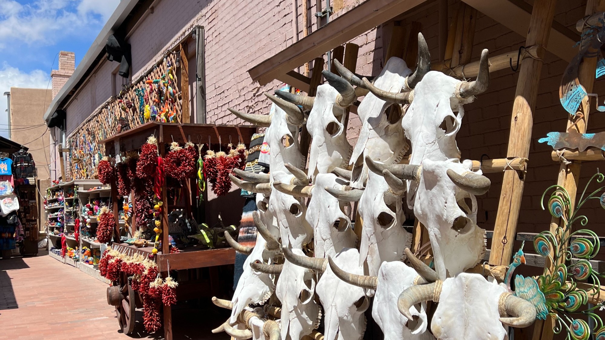 Cattle skulls and chili peppers for sale on the street.