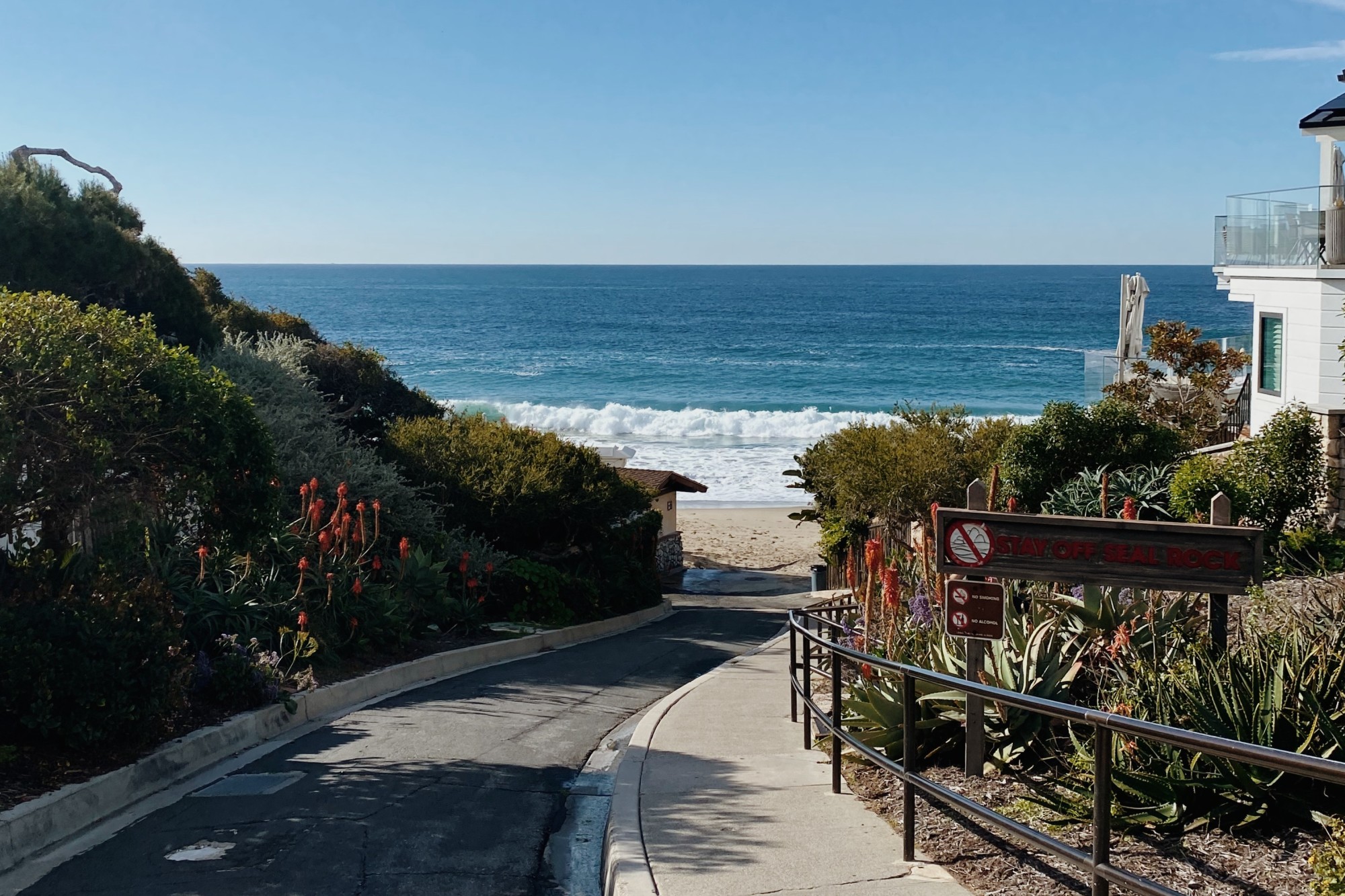 A cement pathway with green bushes and colorful flowers leading down to the beach and a white beachfront home on the right side.