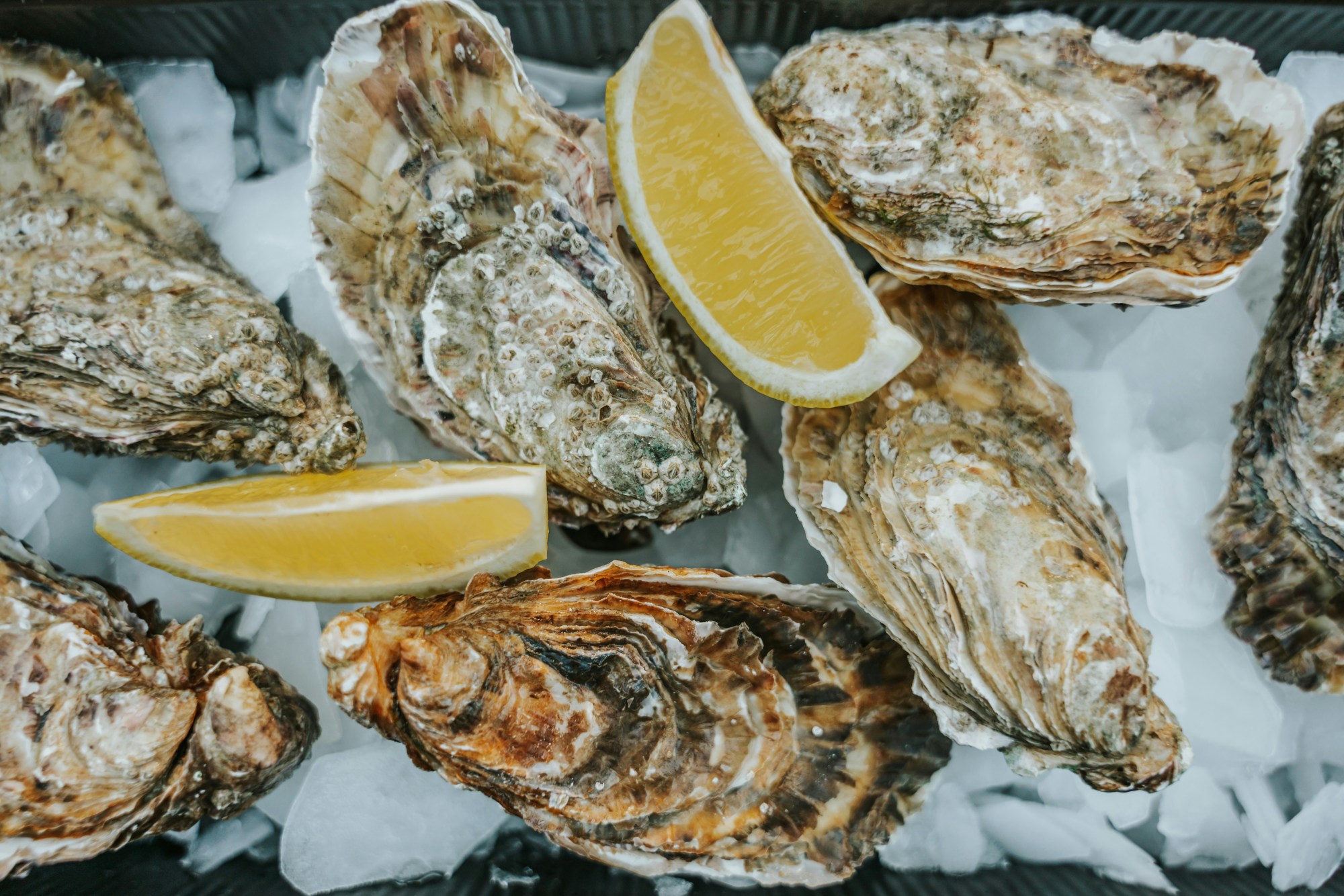 A plate of oysters and lemons.