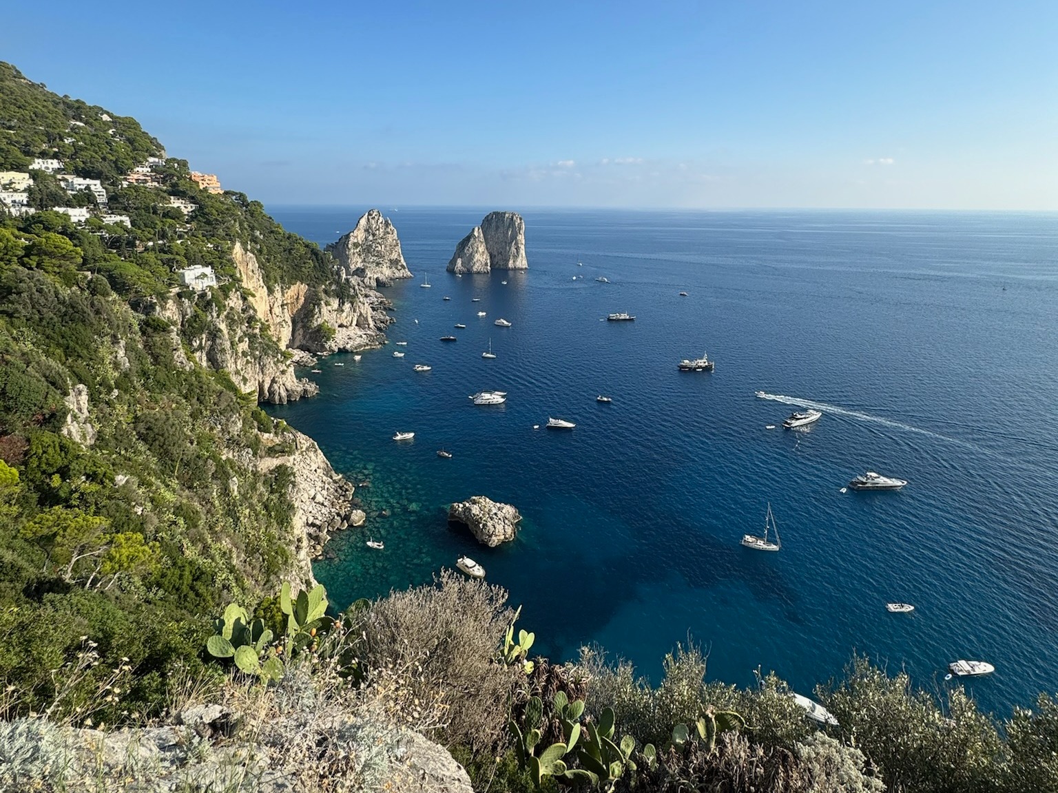 View of the ocean from a hillside