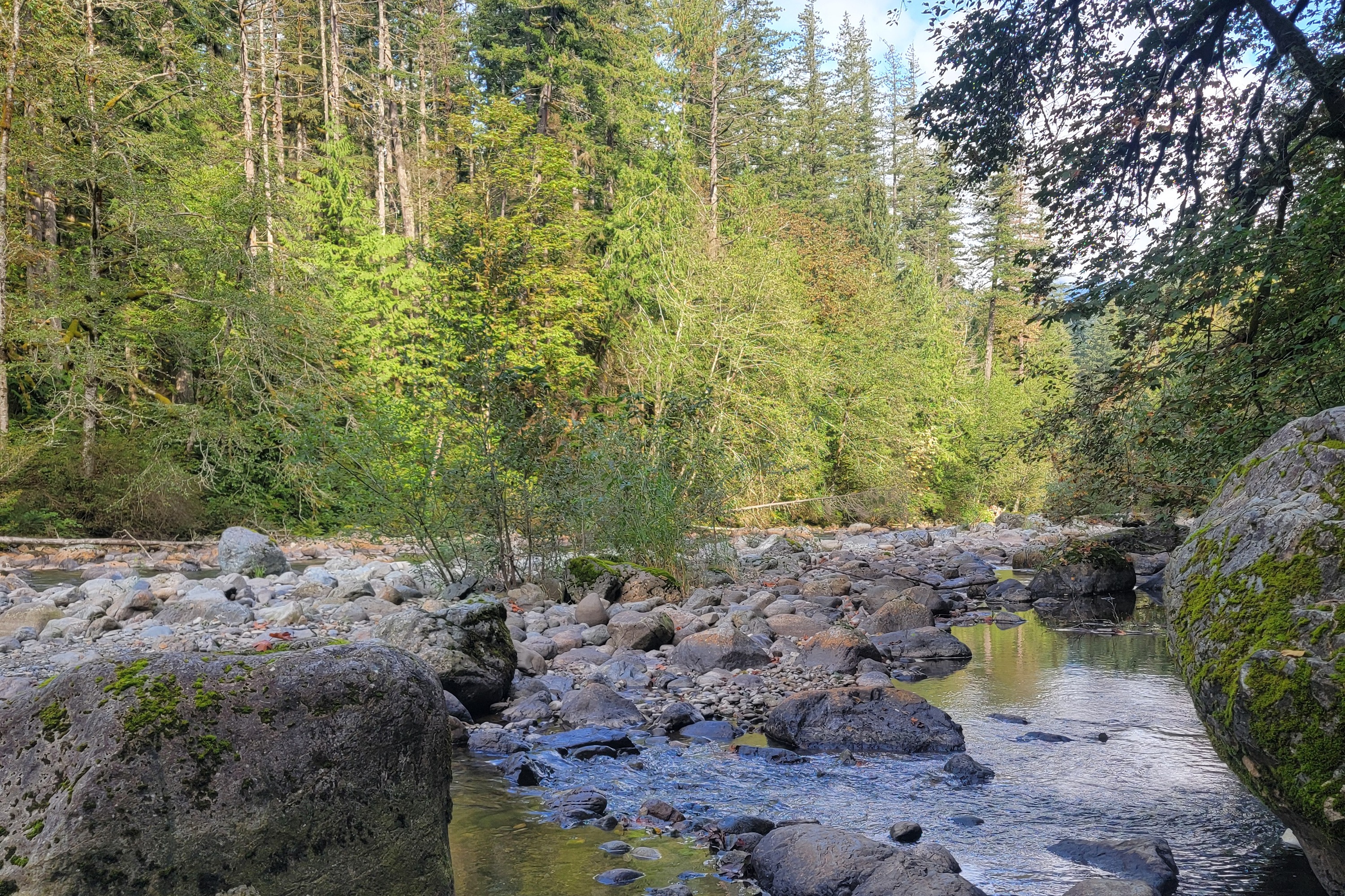 A rocky river stream in the forest during the daytime