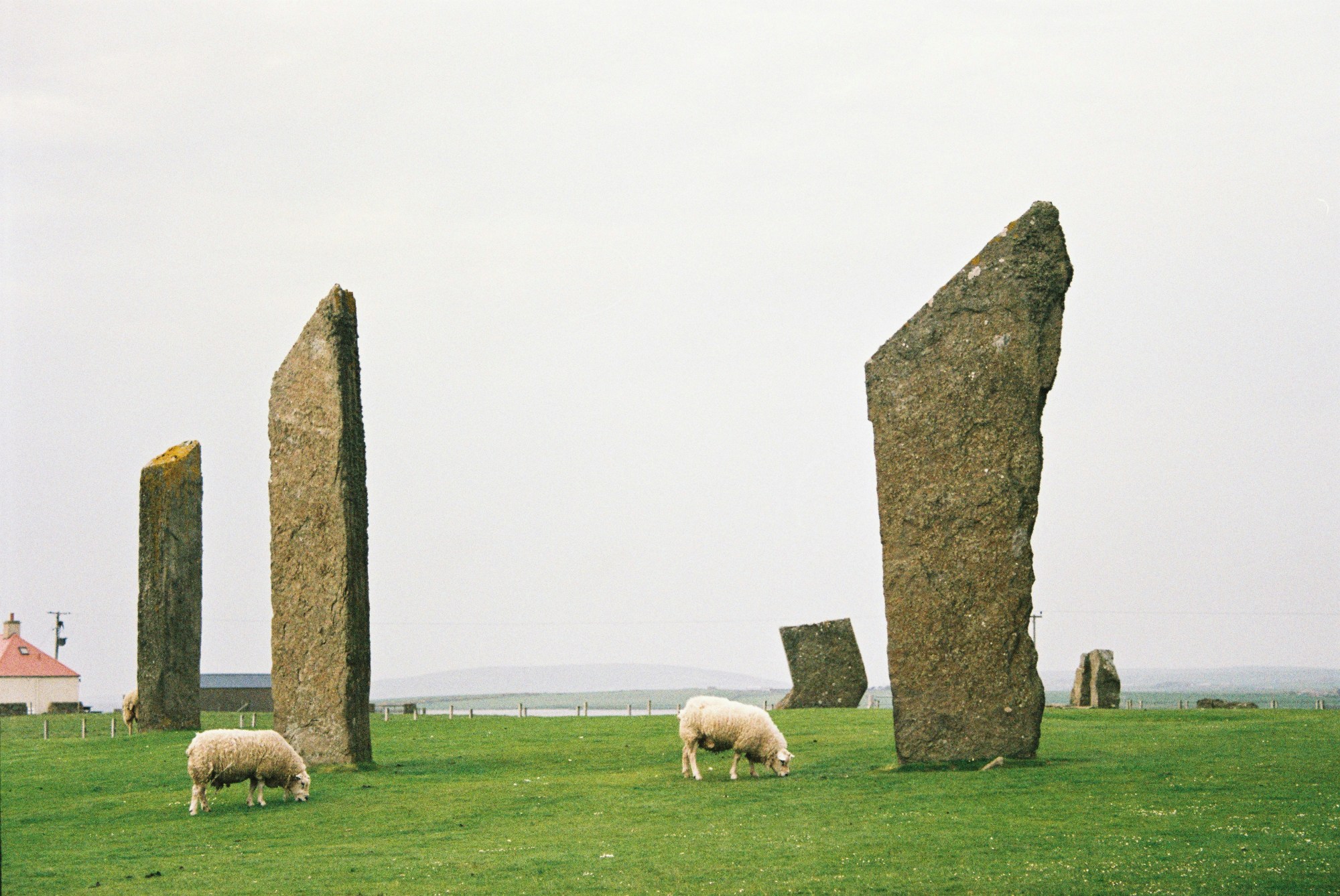 Rock formations stand tall against a cloudy sky as sheep graze on the grass below.