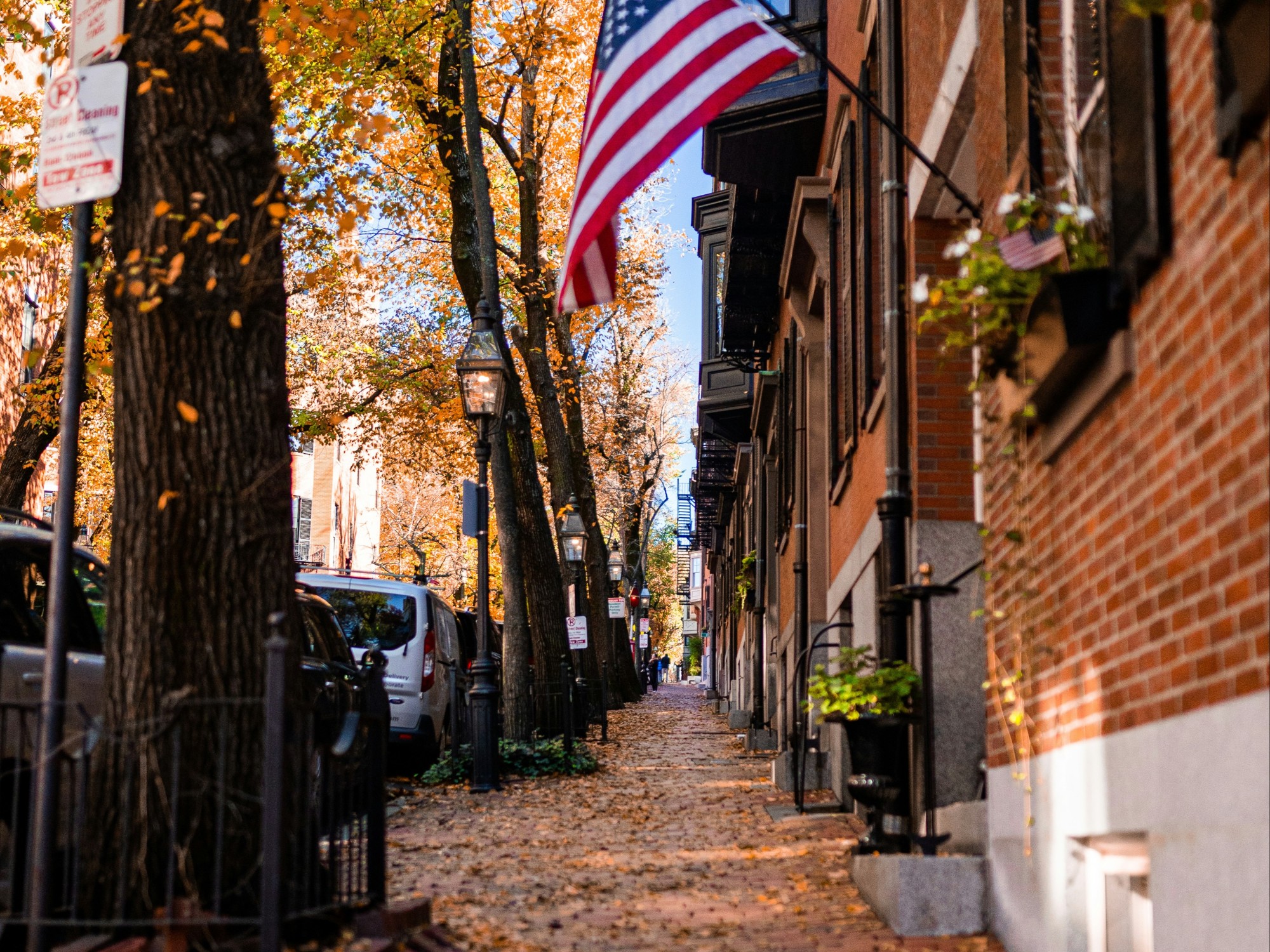 A picturesque sidewalk littered with fallen leaves stretches toward the horizon as sunlight peeks through the branches.