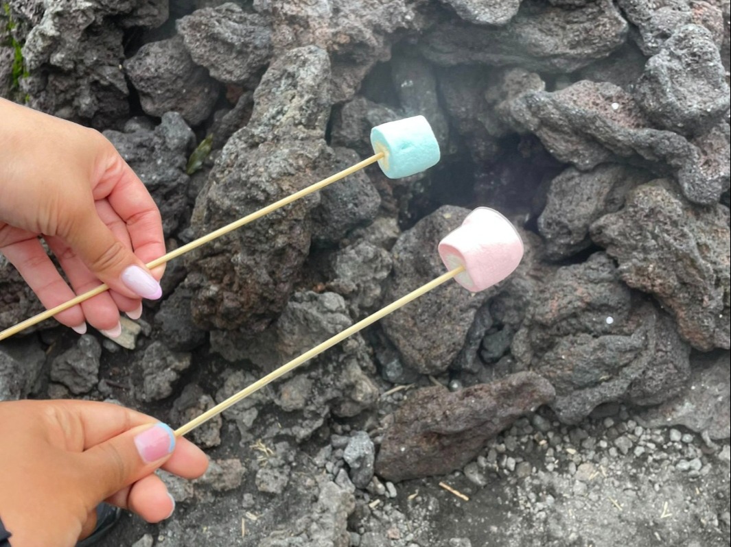 Two hands are roasting marshmallows over volcanic rocks using geothermal heat.