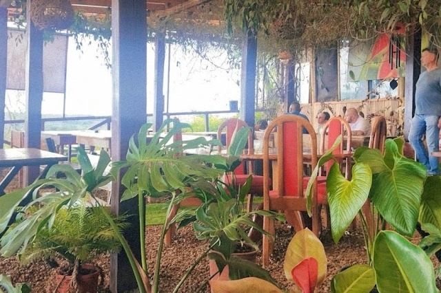 Plants in front of a dining area