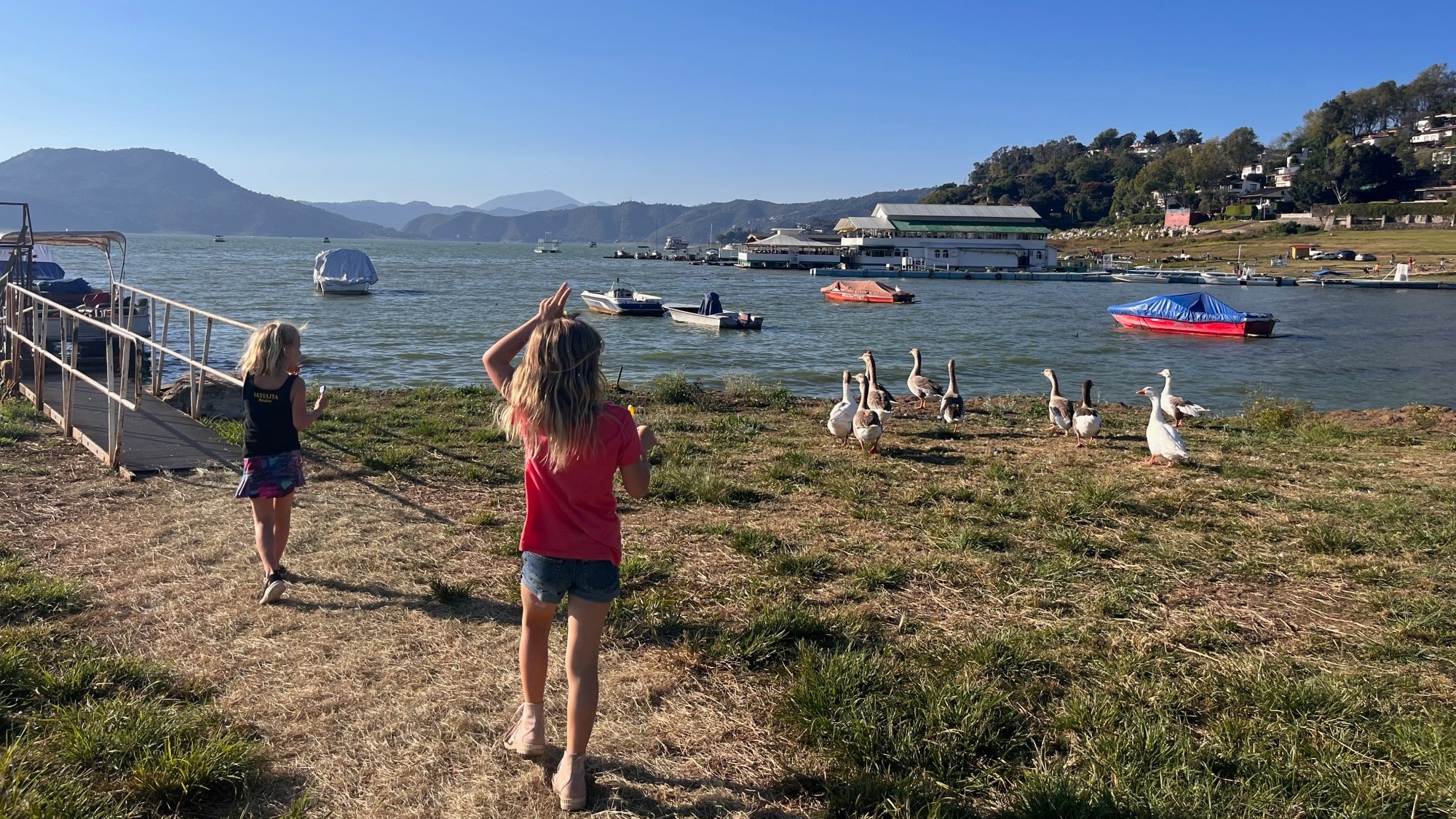 Two little girls moving towards ducks near a body of water with small boats on it.