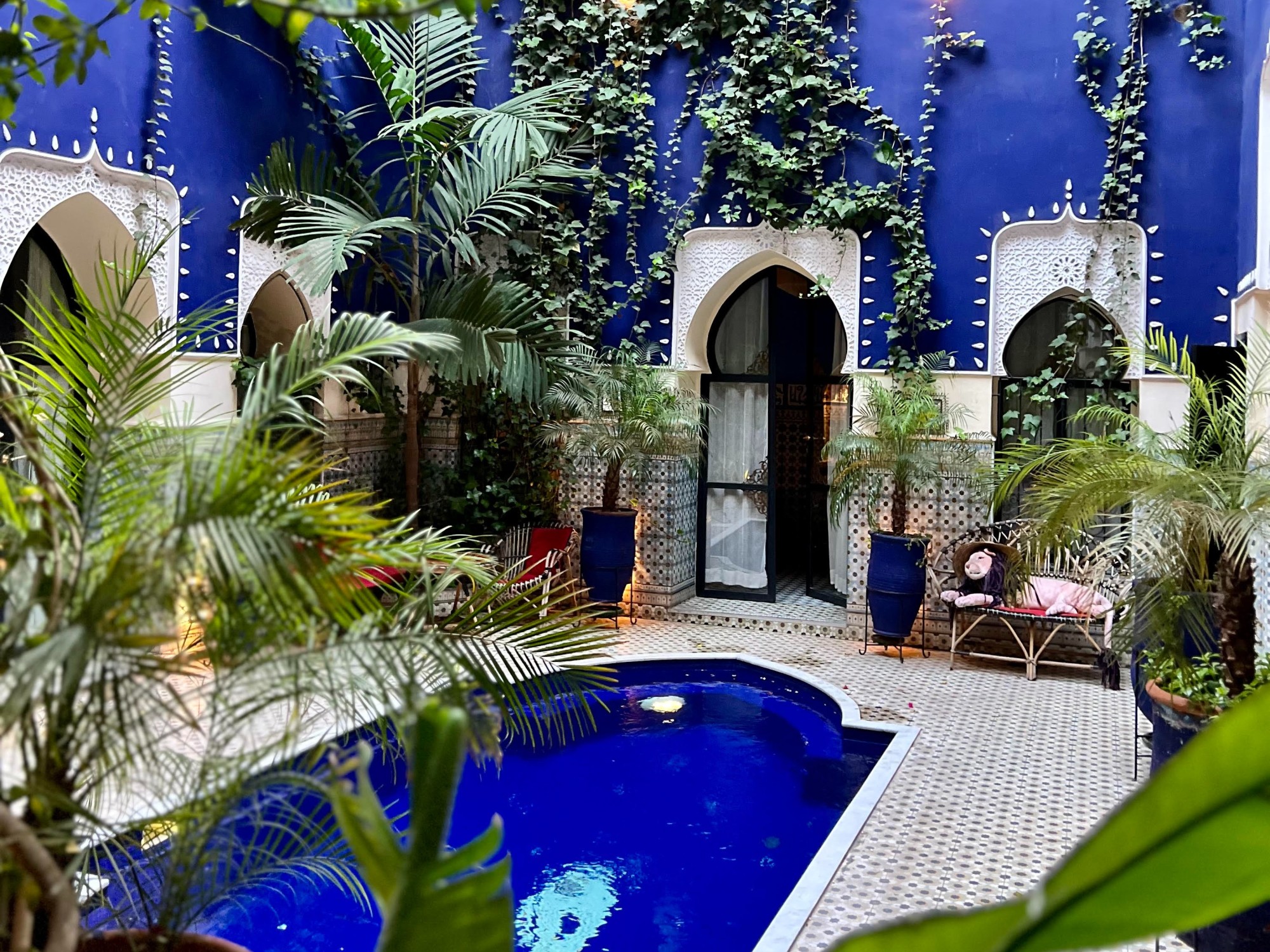 Pool in a building with blue interior and lush greenery.