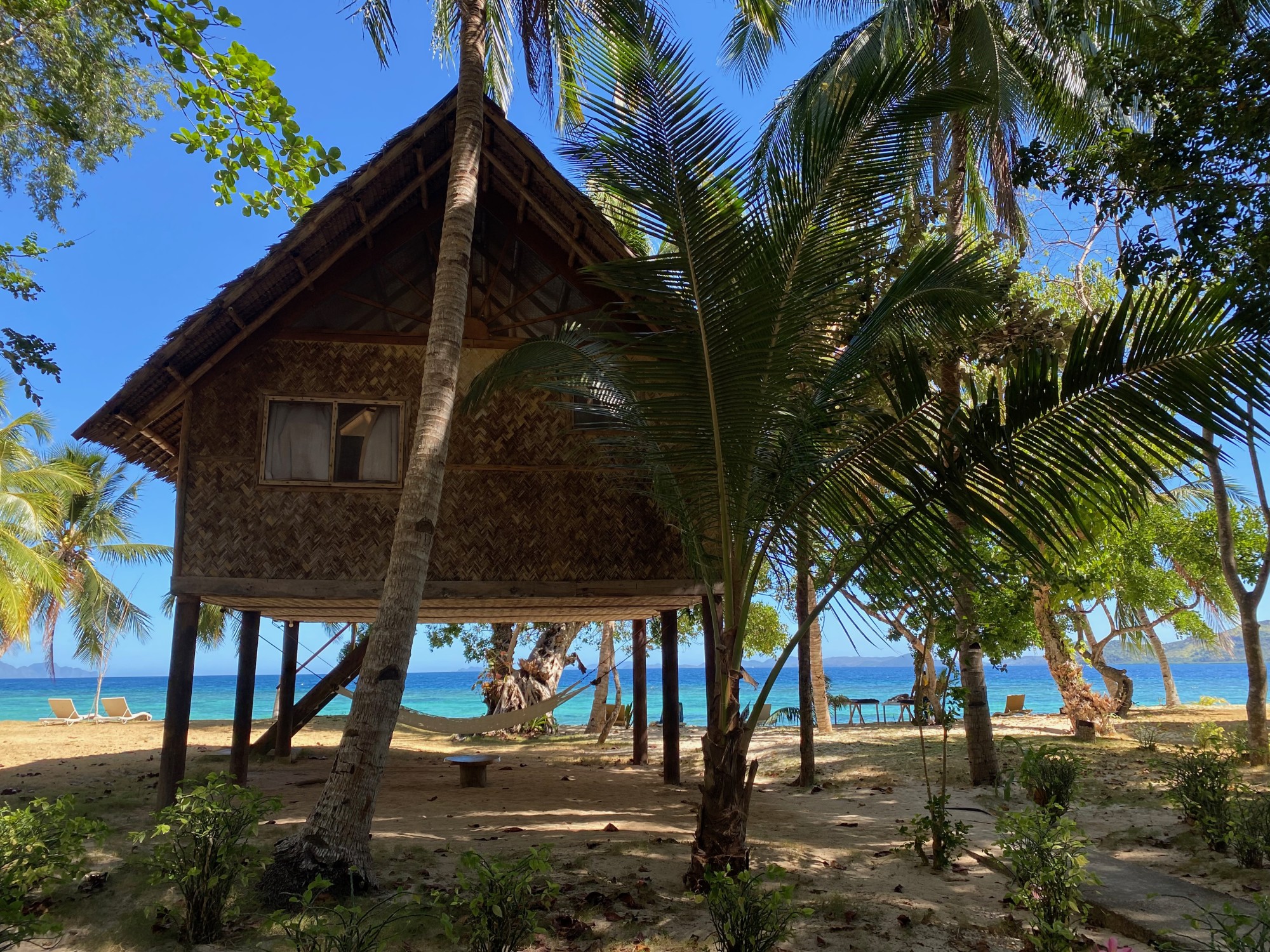 A beachside house in the trees on a beach.
