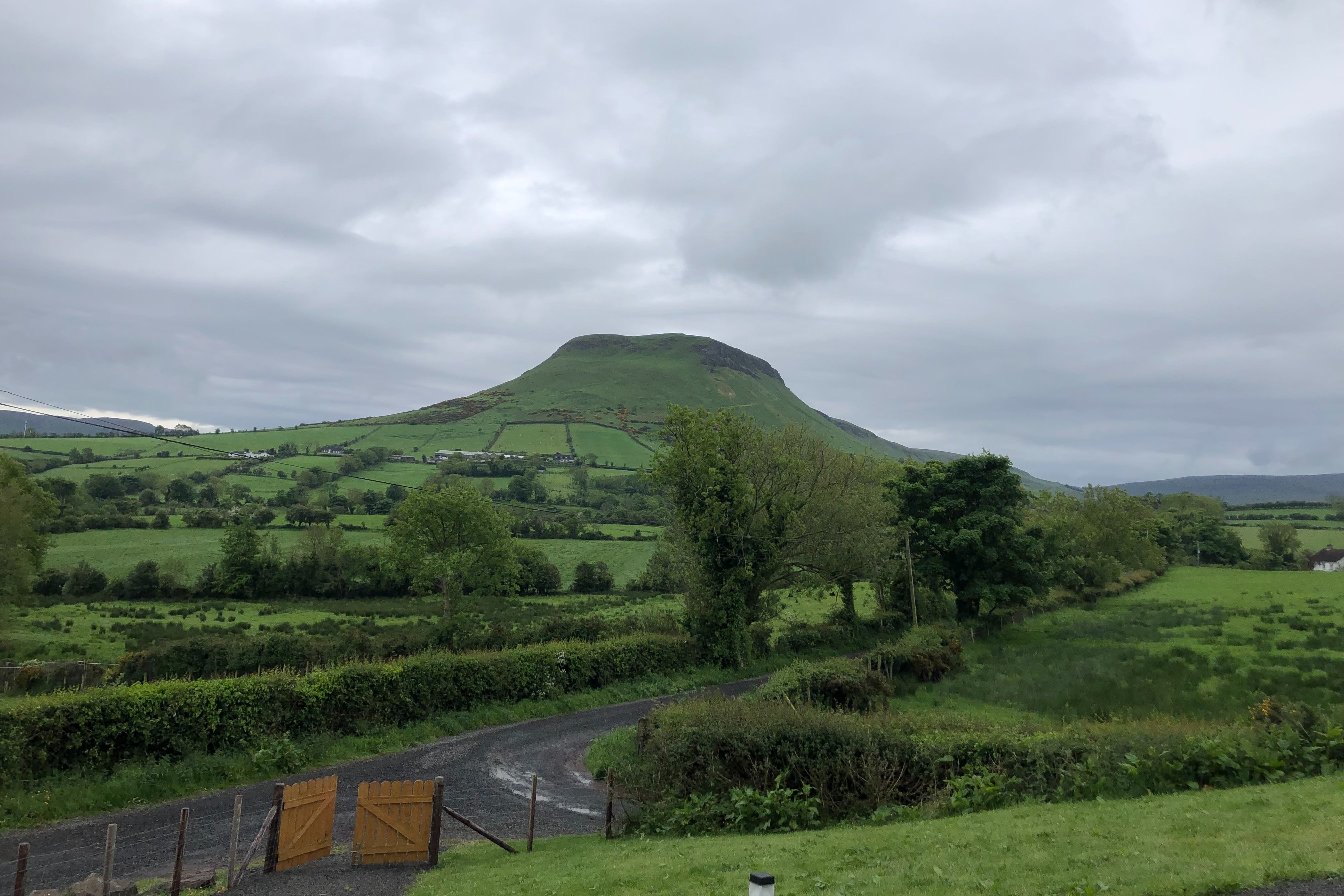 Grassy fields and hills during the daytime