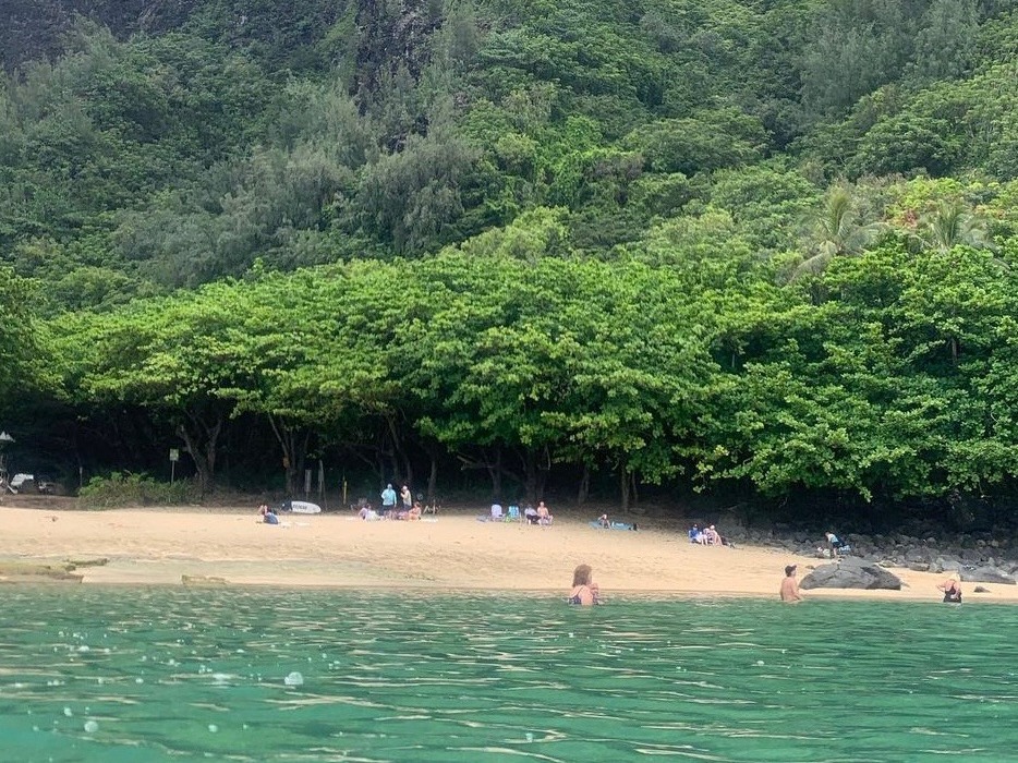 A lush green mountain with dense foliage and a beach at its base under an overcast sky.