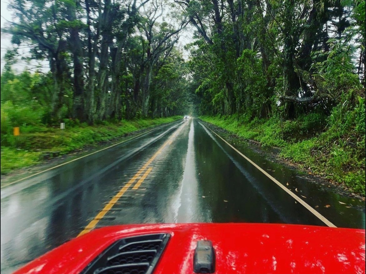 This is a view from inside a vehicle. It shows a wet road through a lush green forest with the car’s red hood visible.