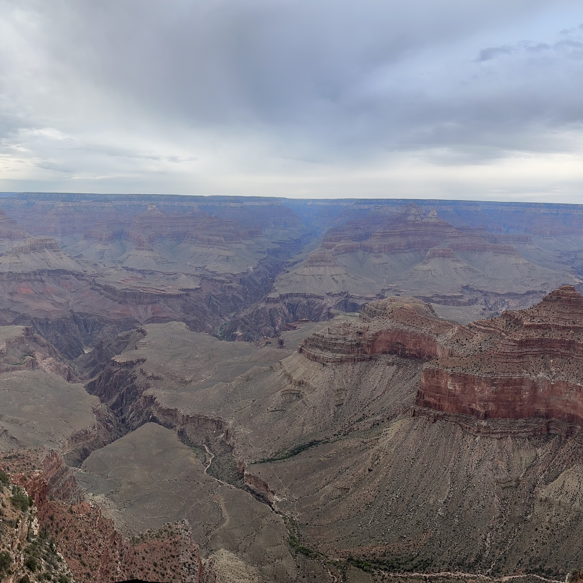 View of Grand Canyon from Mather Point showing grey and red rock formations from above.