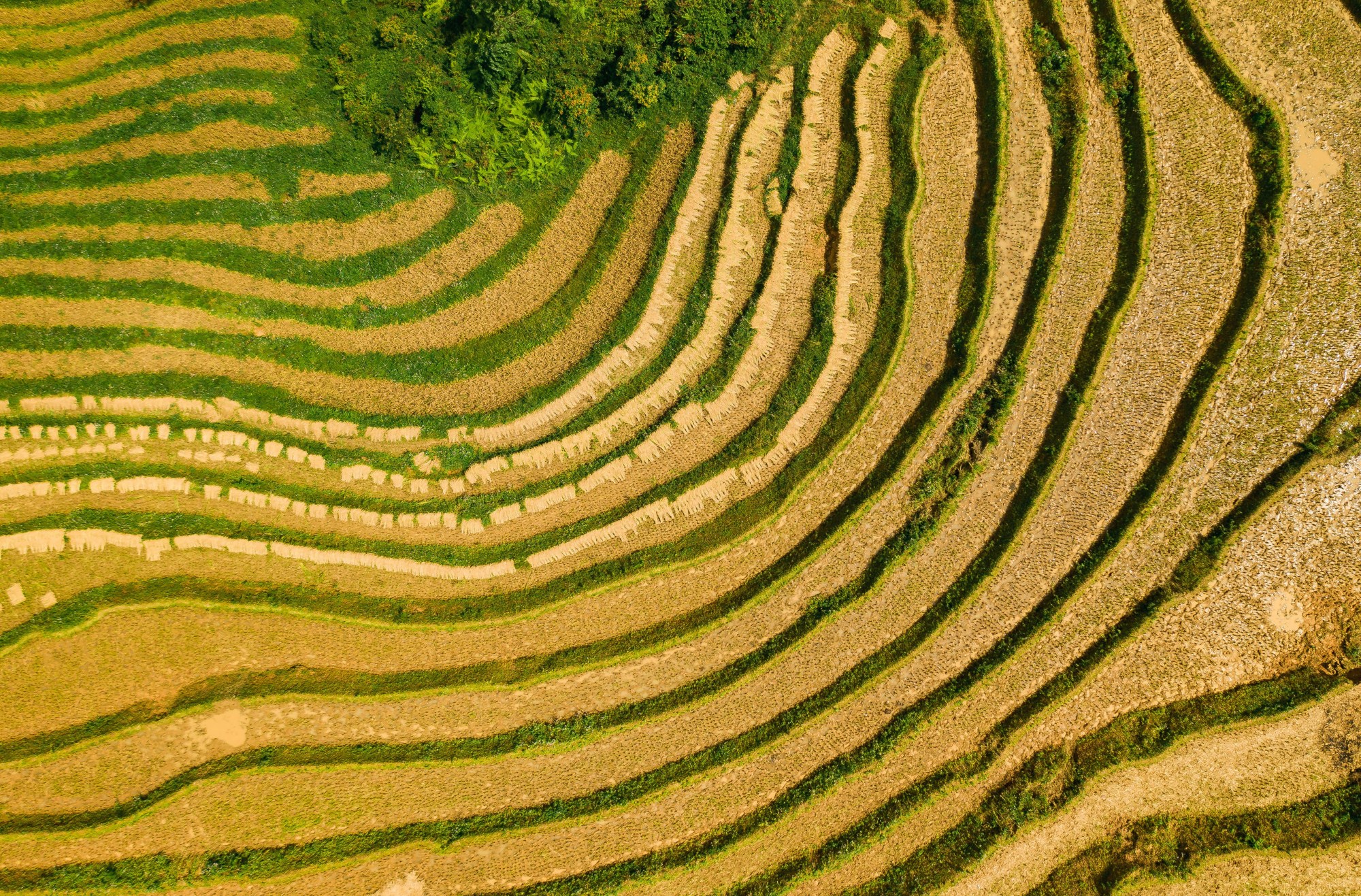 An aerial view of fields below