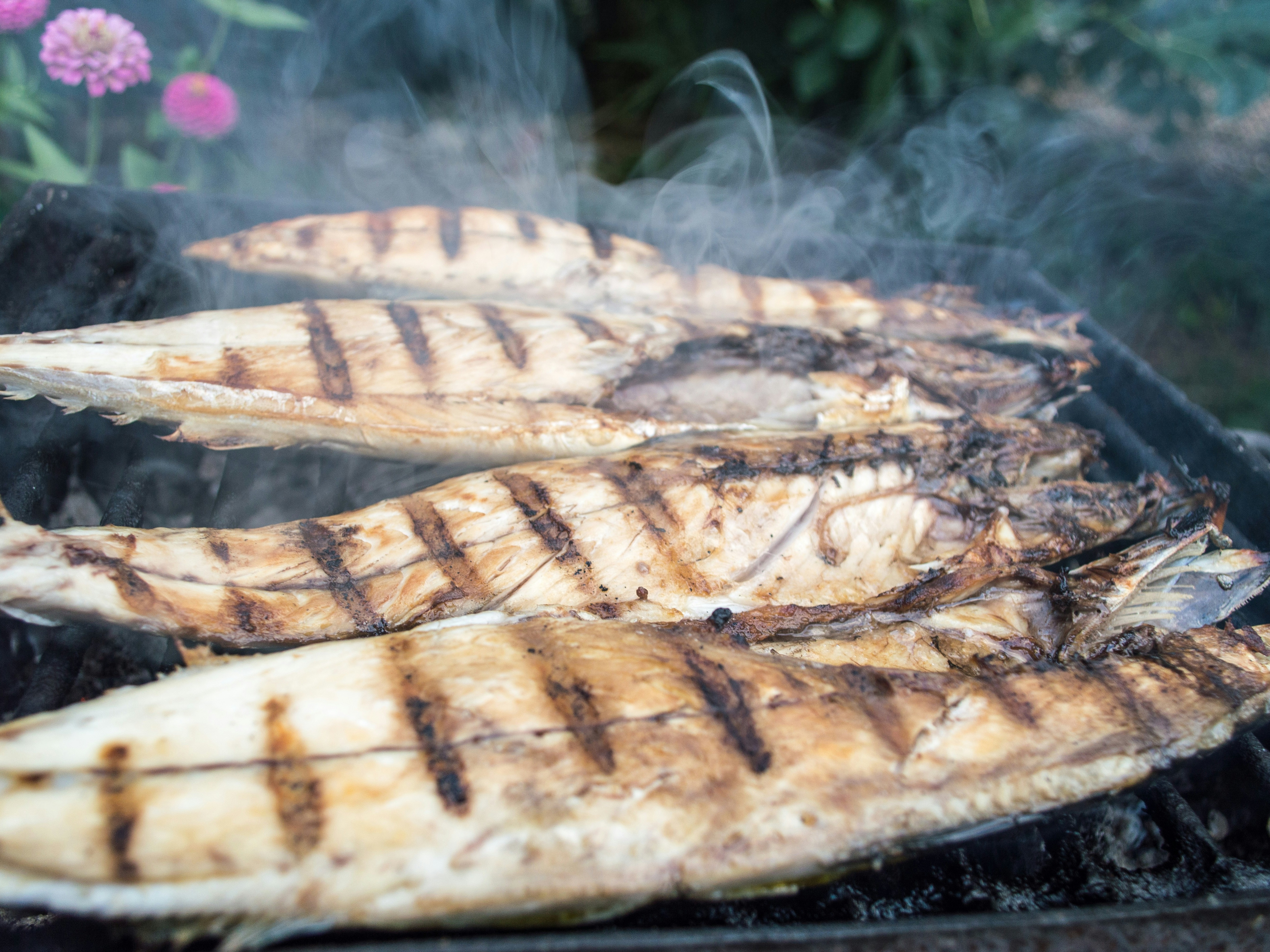 Three fish fillets with grill marks are being cooked on a barbecue grill, emitting smoke, greenery, and a pink flower in the background.