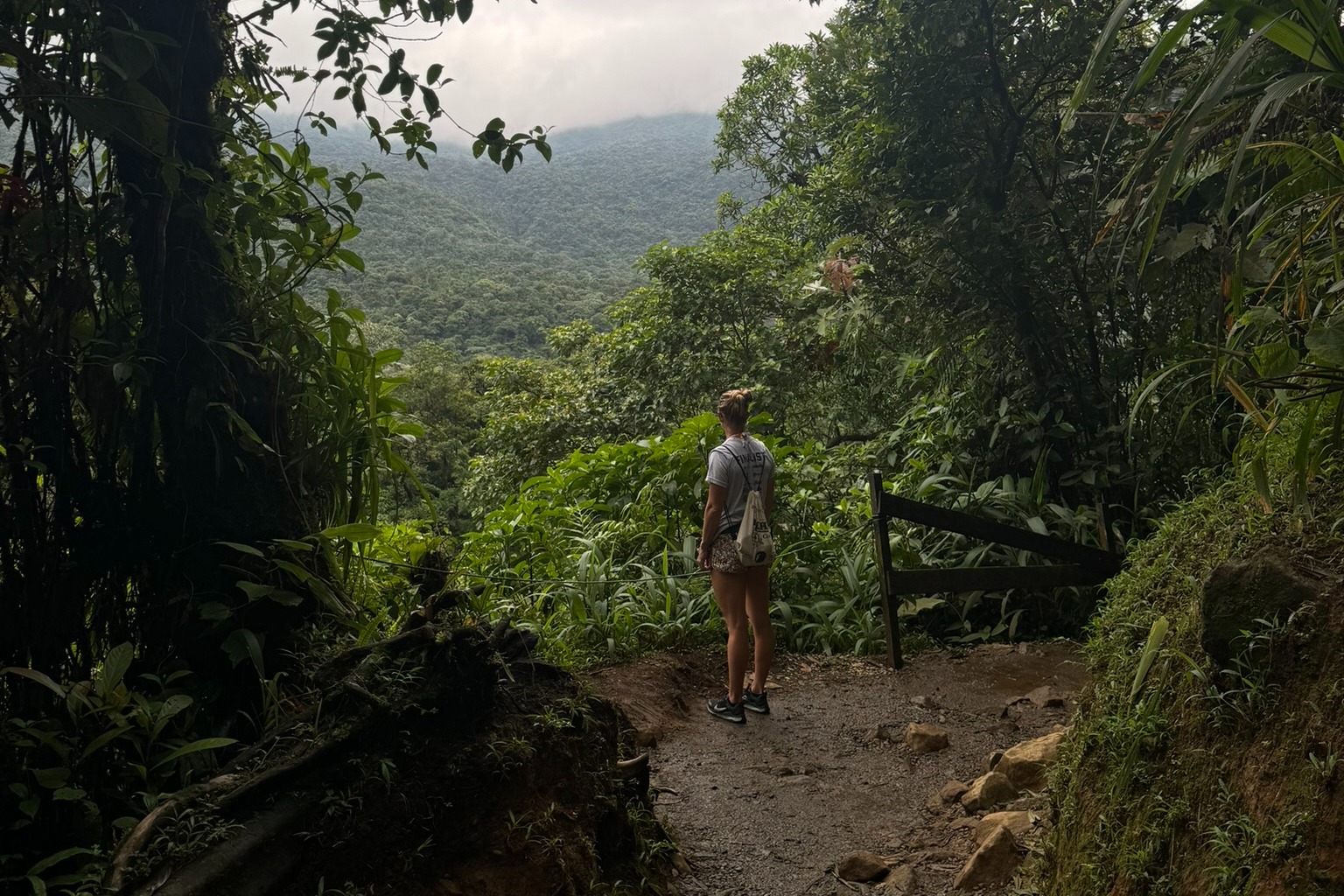 A person on a walking trail through a forest offering an aerial view of a vast green landscape