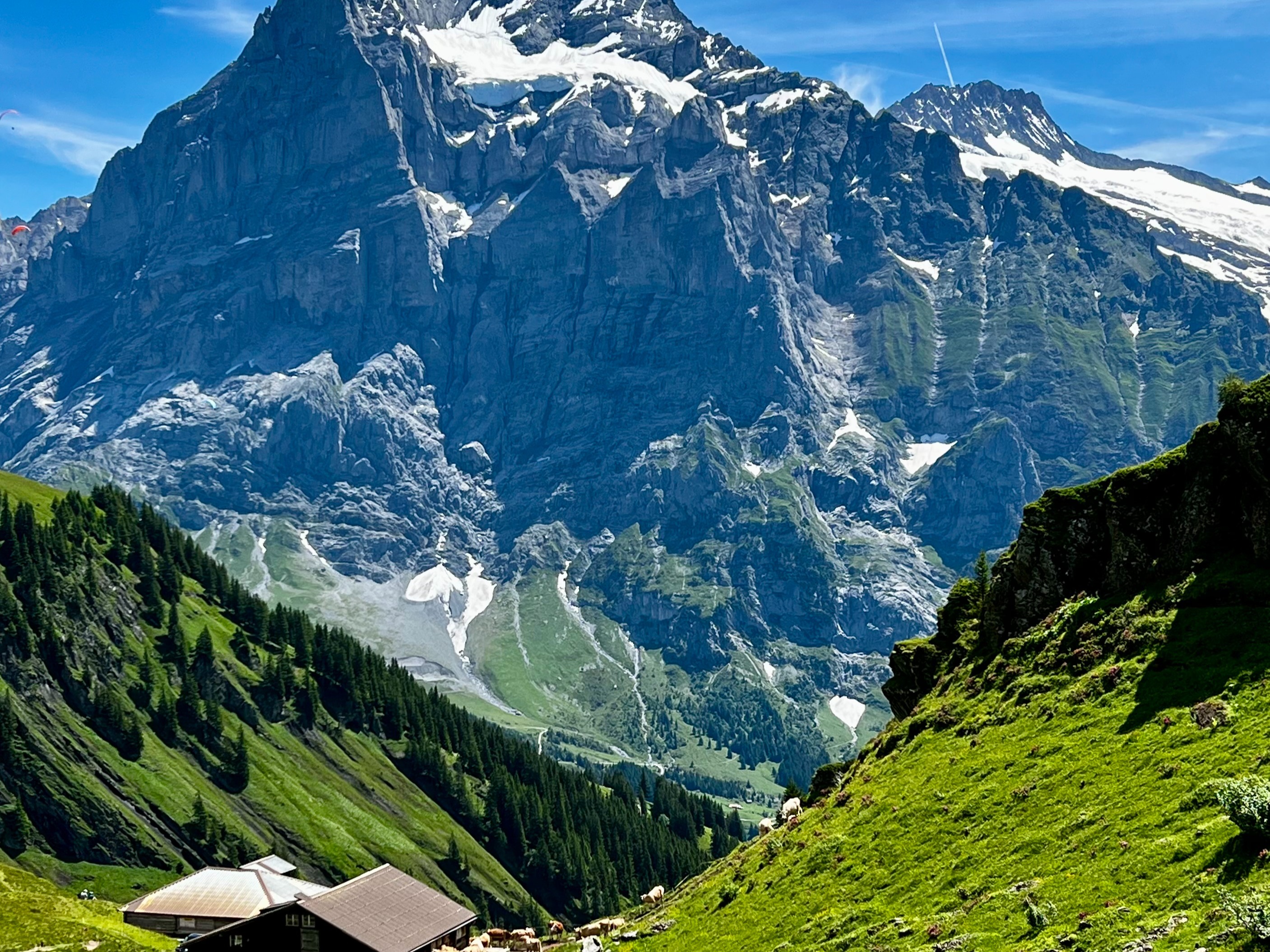 A majestic mountain with snow-capped peaks towers over a lush green valley with a solitary building.