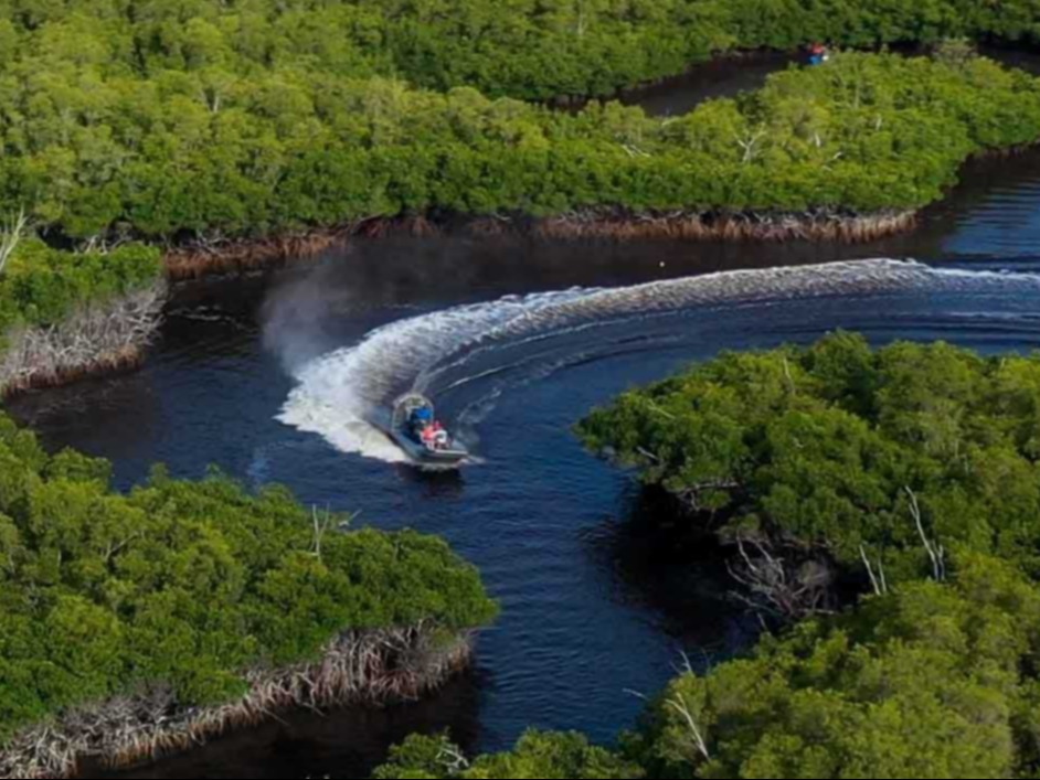 A person rides a jet ski, creating a sharp turn on the water, surrounded by dense greenery.v