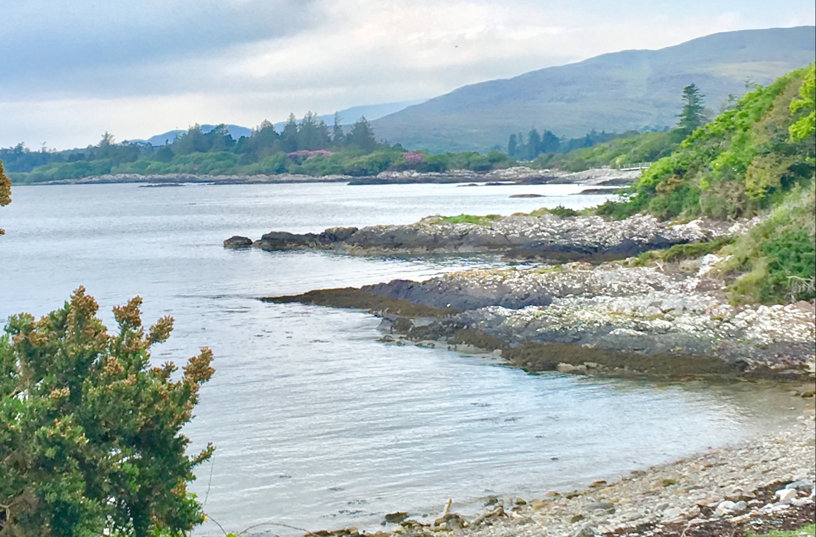 The image shows a serene riverside landscape with lush greenery and a rocky shoreline under a partly cloudy sky.