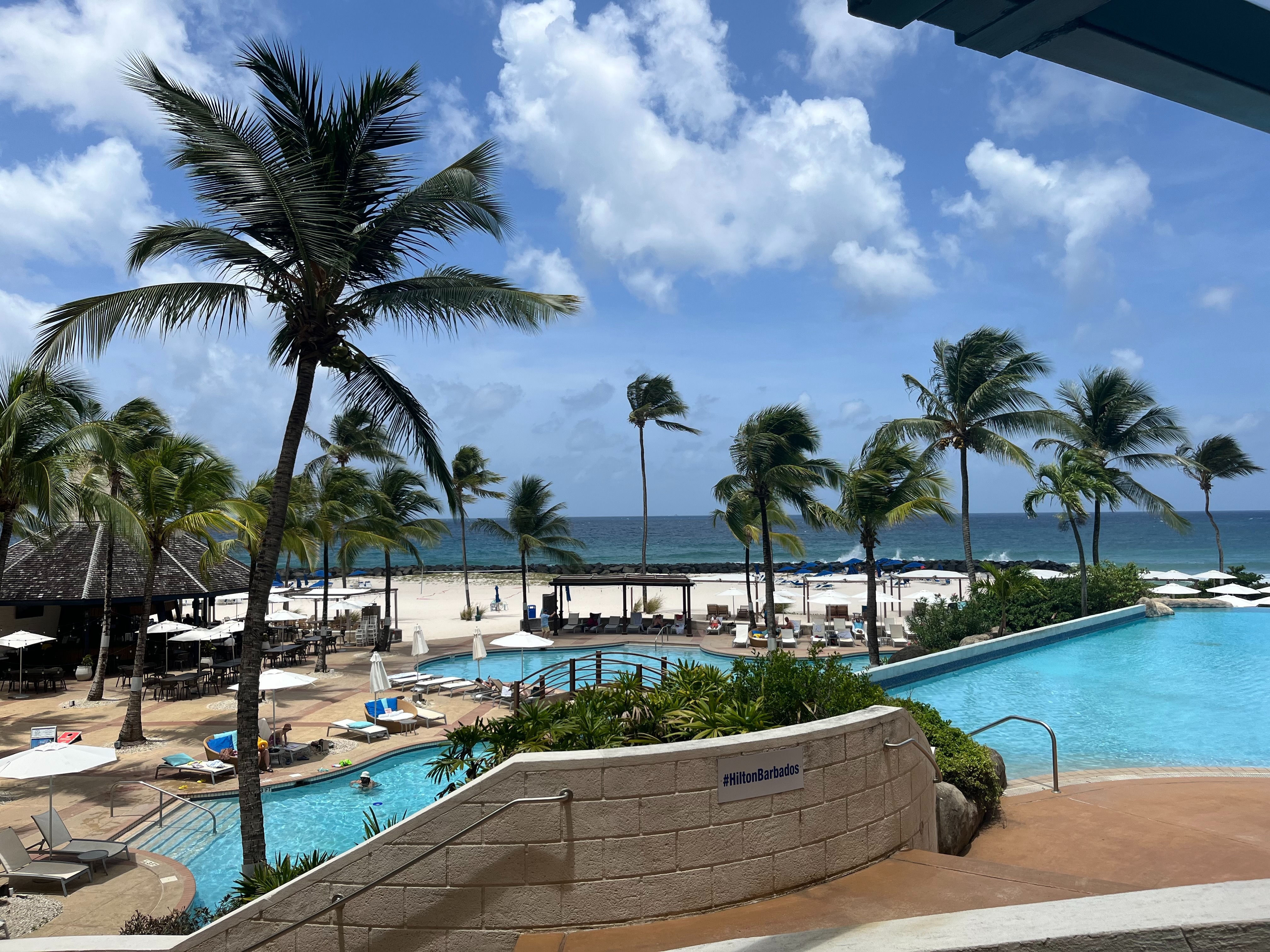 The image shows a tropical resort view with palm trees, a beach, and a pool area under a clear sky.