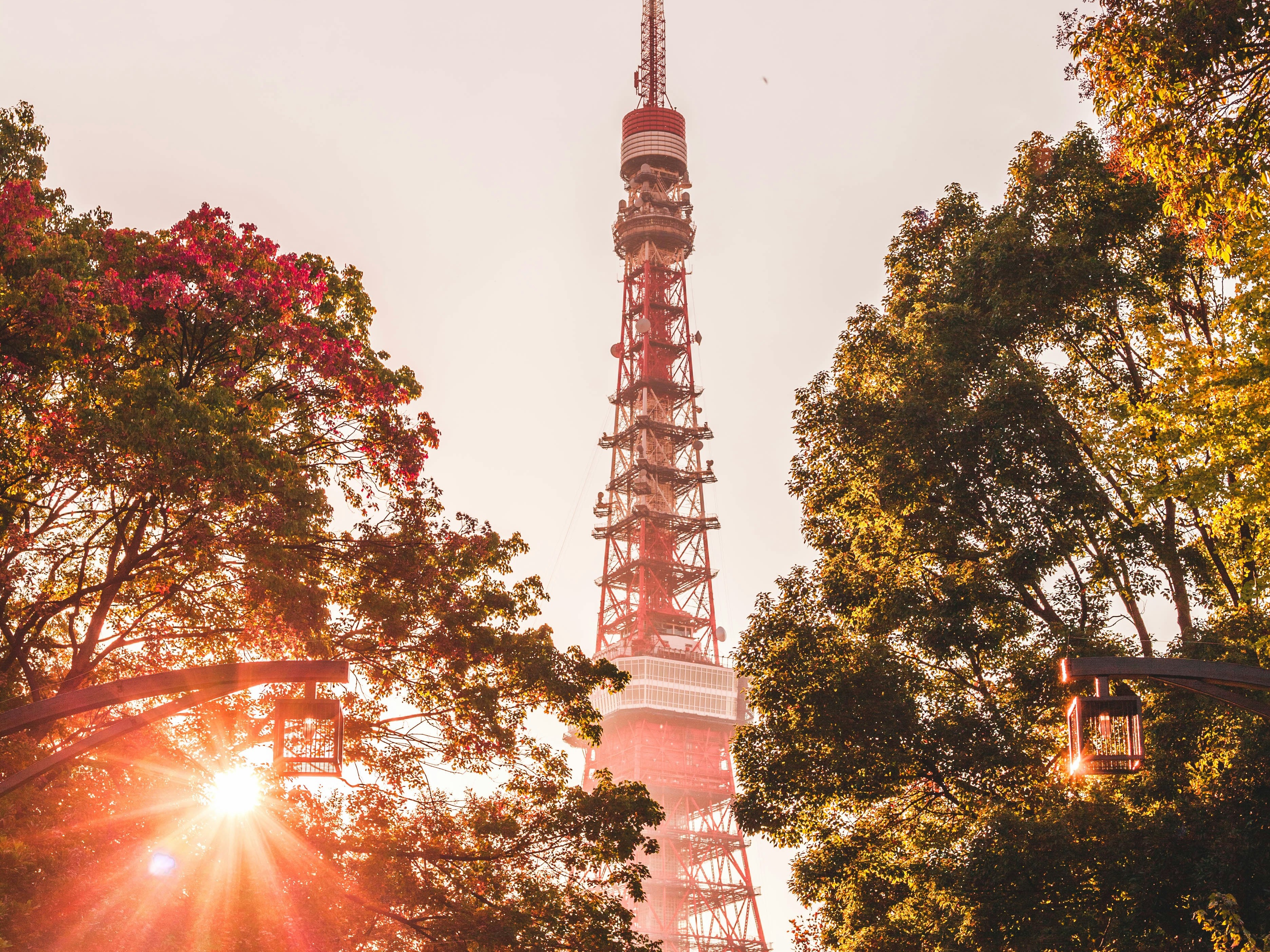 The image shows a tall tower surrounded by trees with sunlight filtering through, creating a serene urban park atmosphere at either sunrise or sunset.
