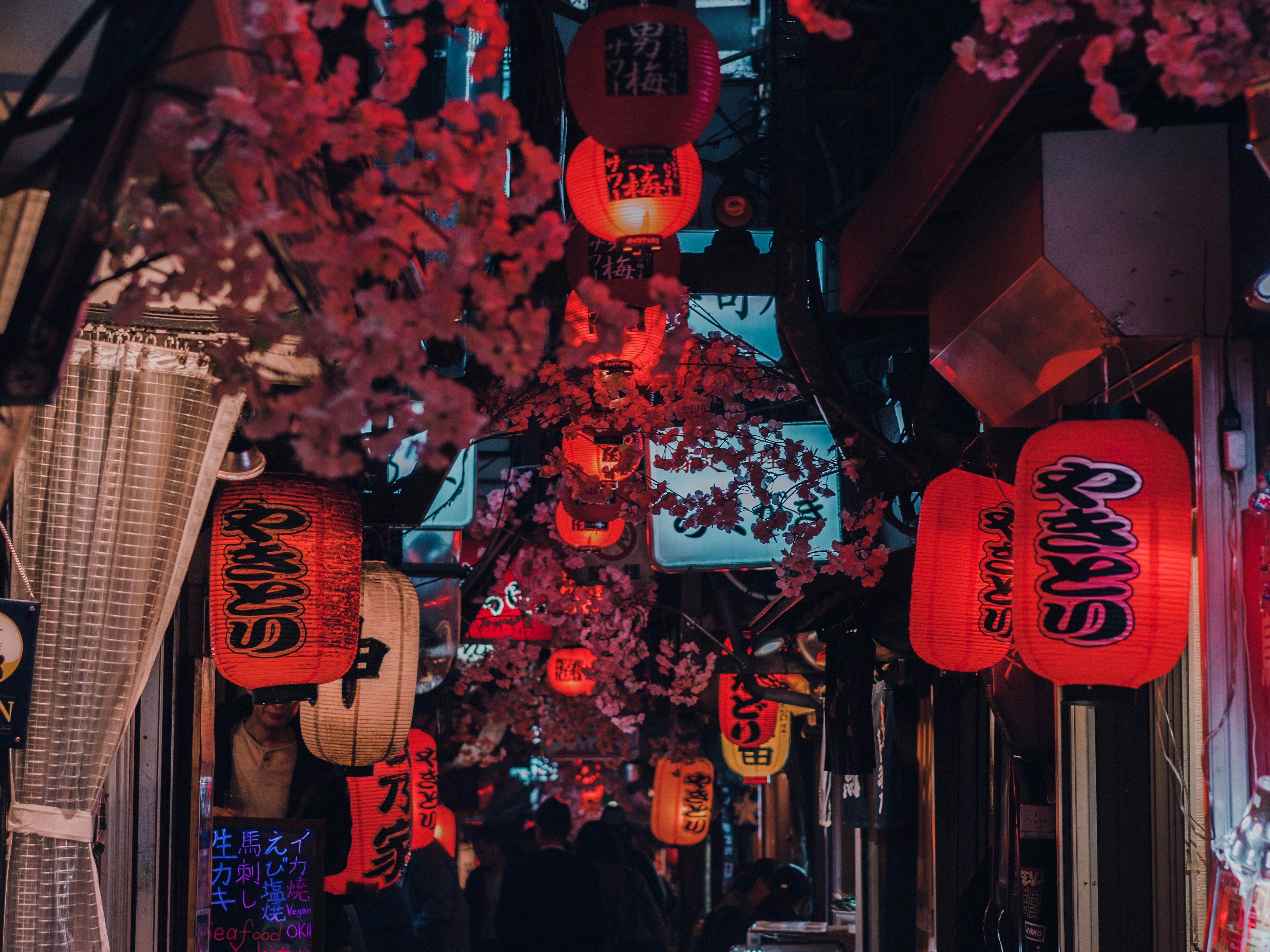 The image depicts a vibrant alleyway adorned with numerous red lanterns and cherry blossoms, evoking a traditional and atmospheric scene.