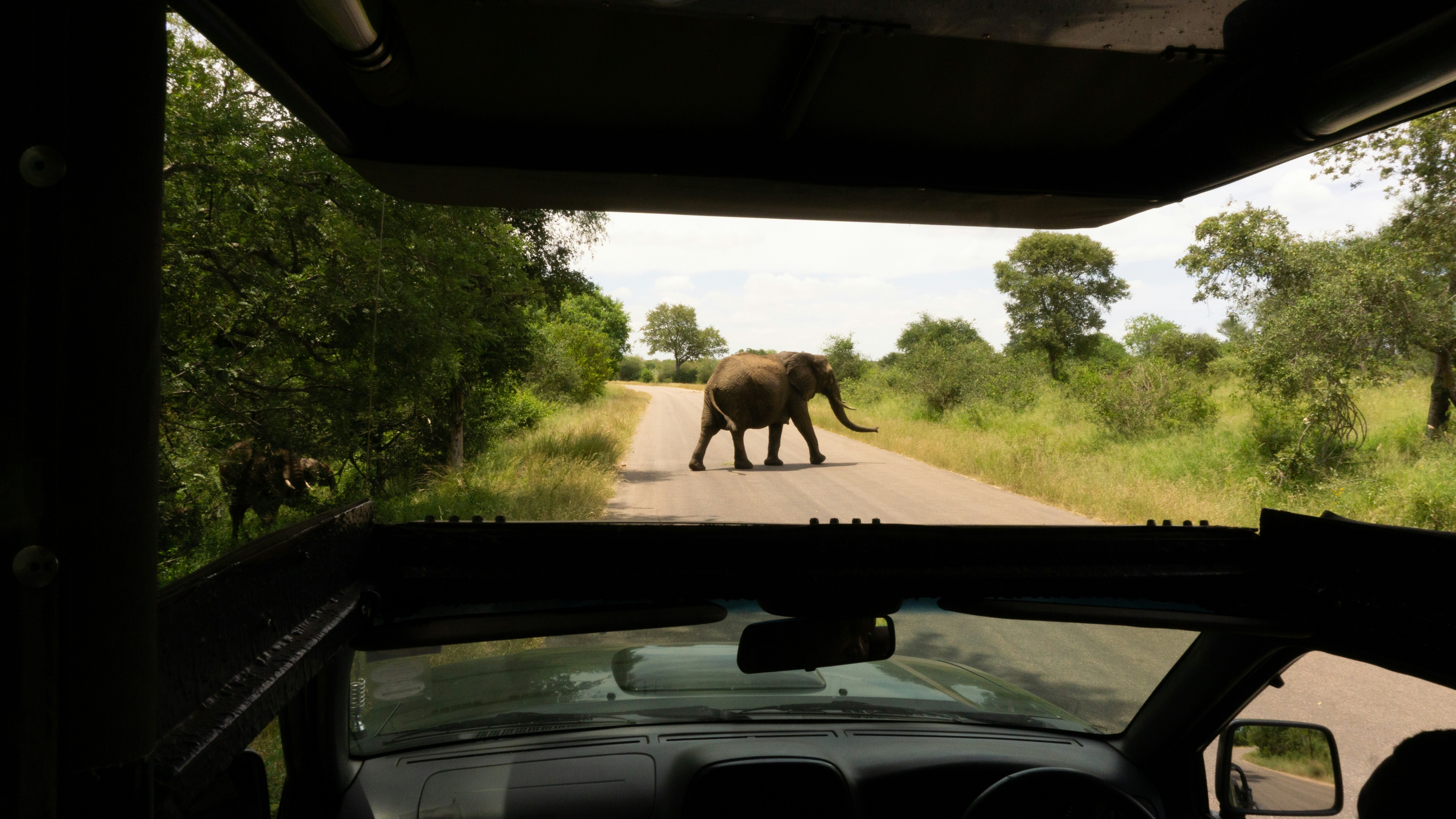 An elephant crossing the road, seen through the windshield of a safari vehicle.