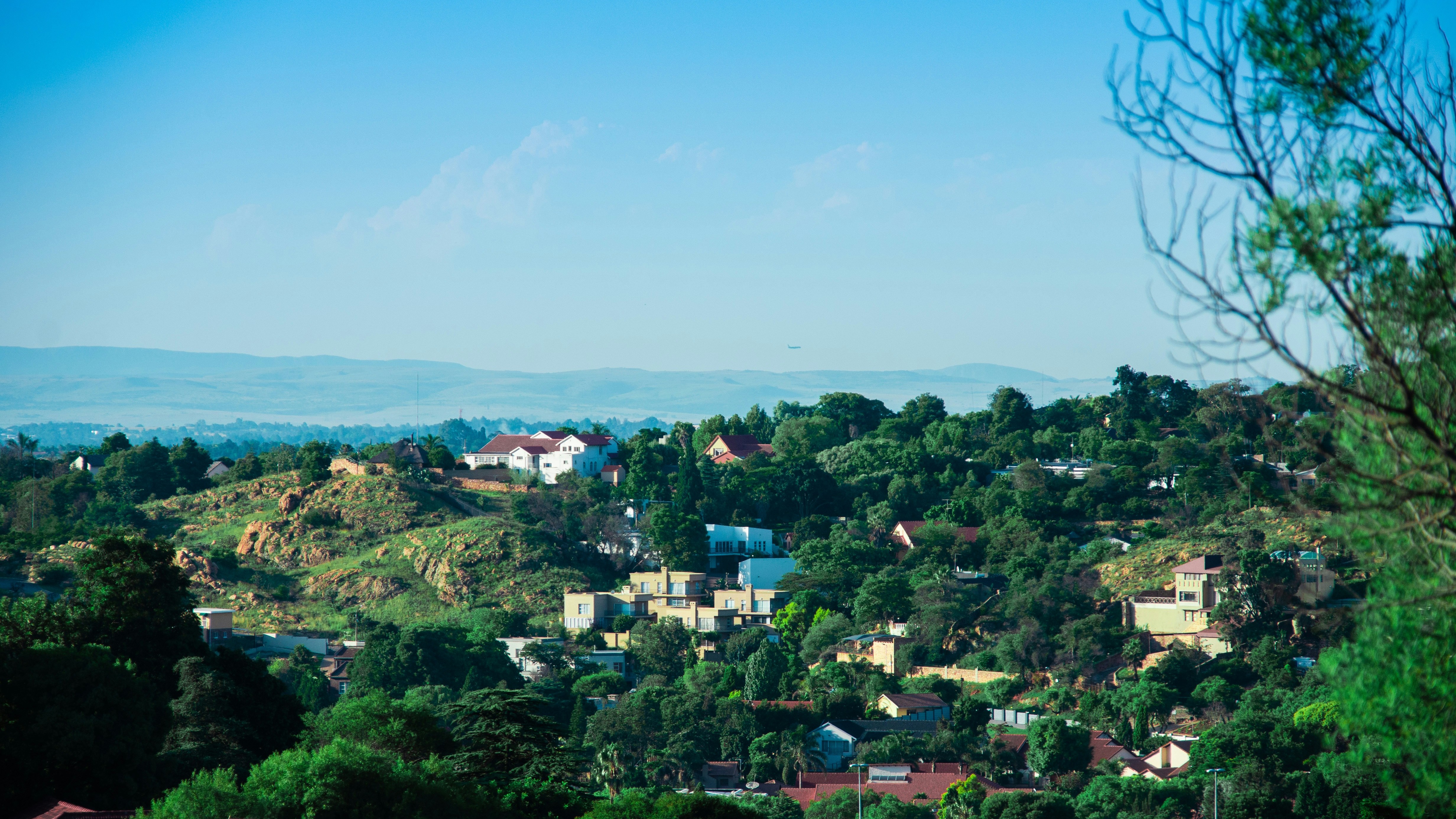 A hill with thick trees and houses underneath a blue sky.
