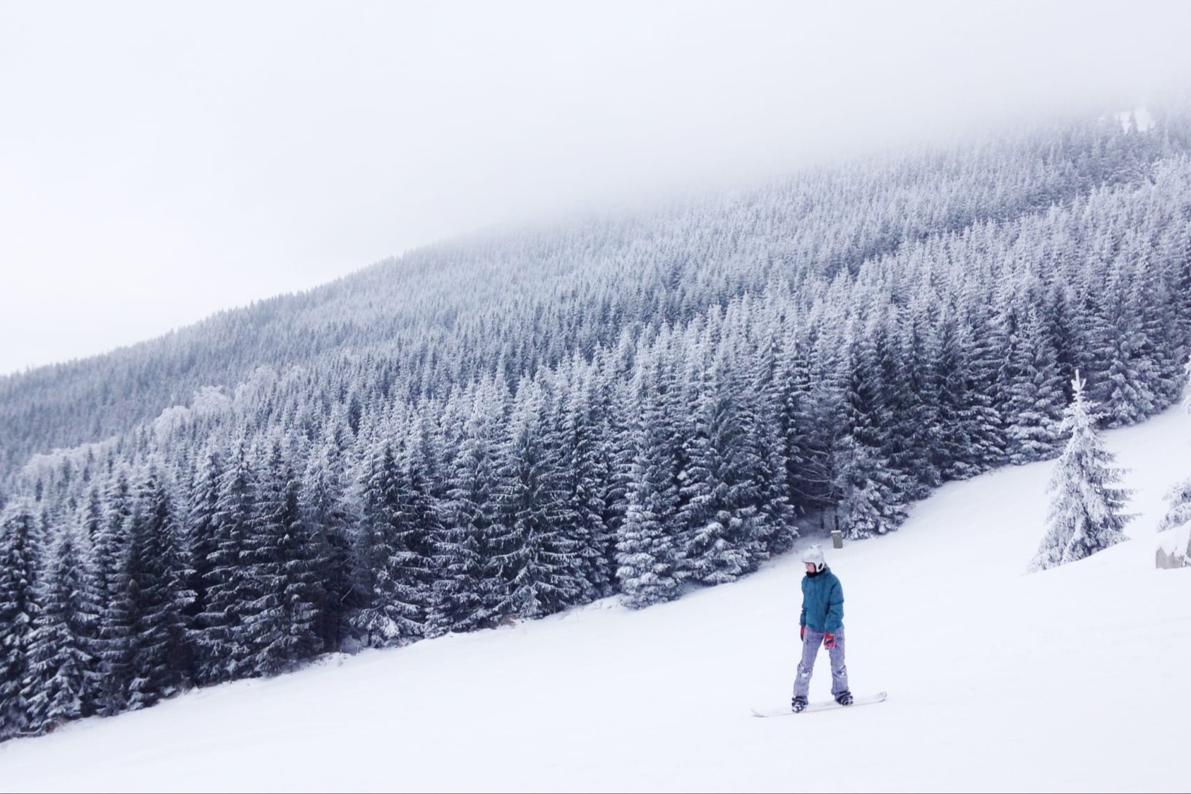A lone snowboarder descends a ski slope with a seemingly endless pine forest behind them
