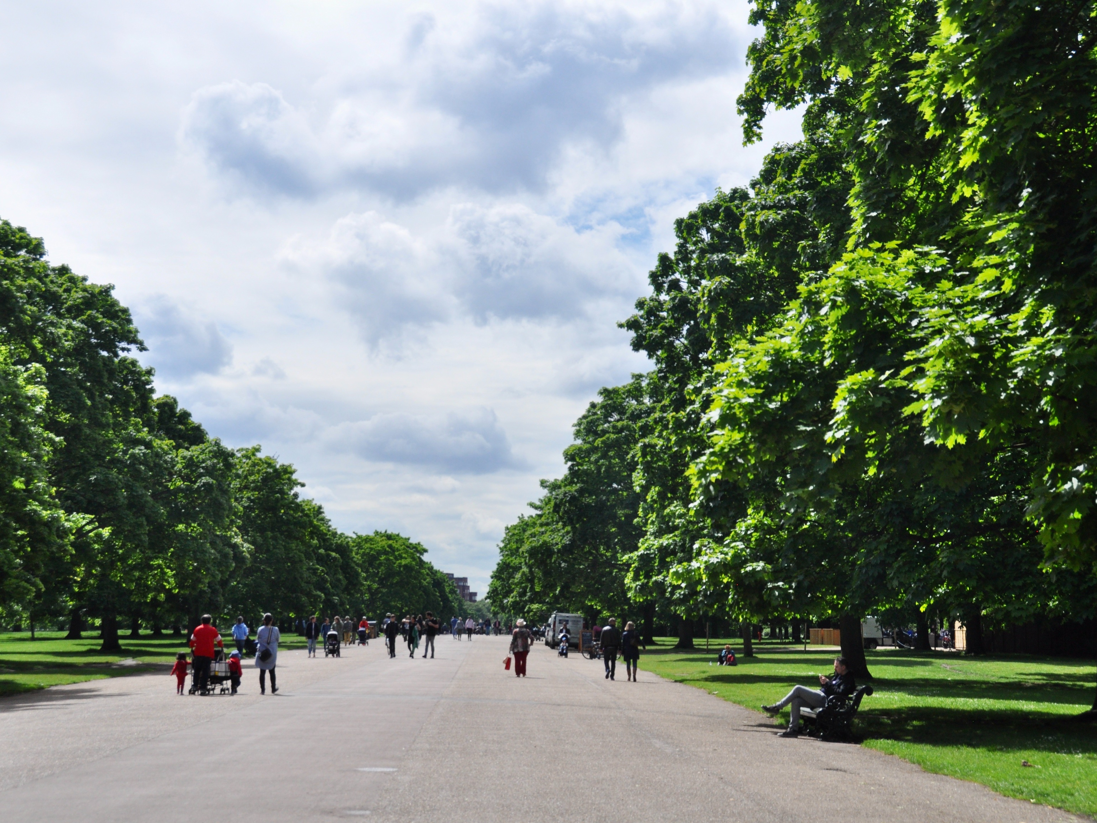 A sunny day in a park with people walking and relaxing under tree-lined paths.