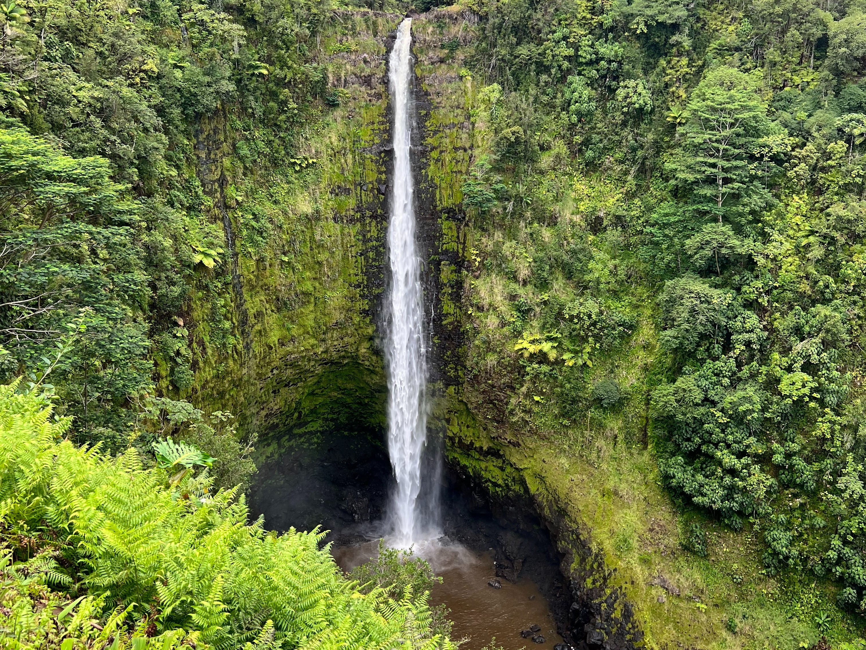 A tall waterfall cascades into a pool surrounded by lush green vegetation.