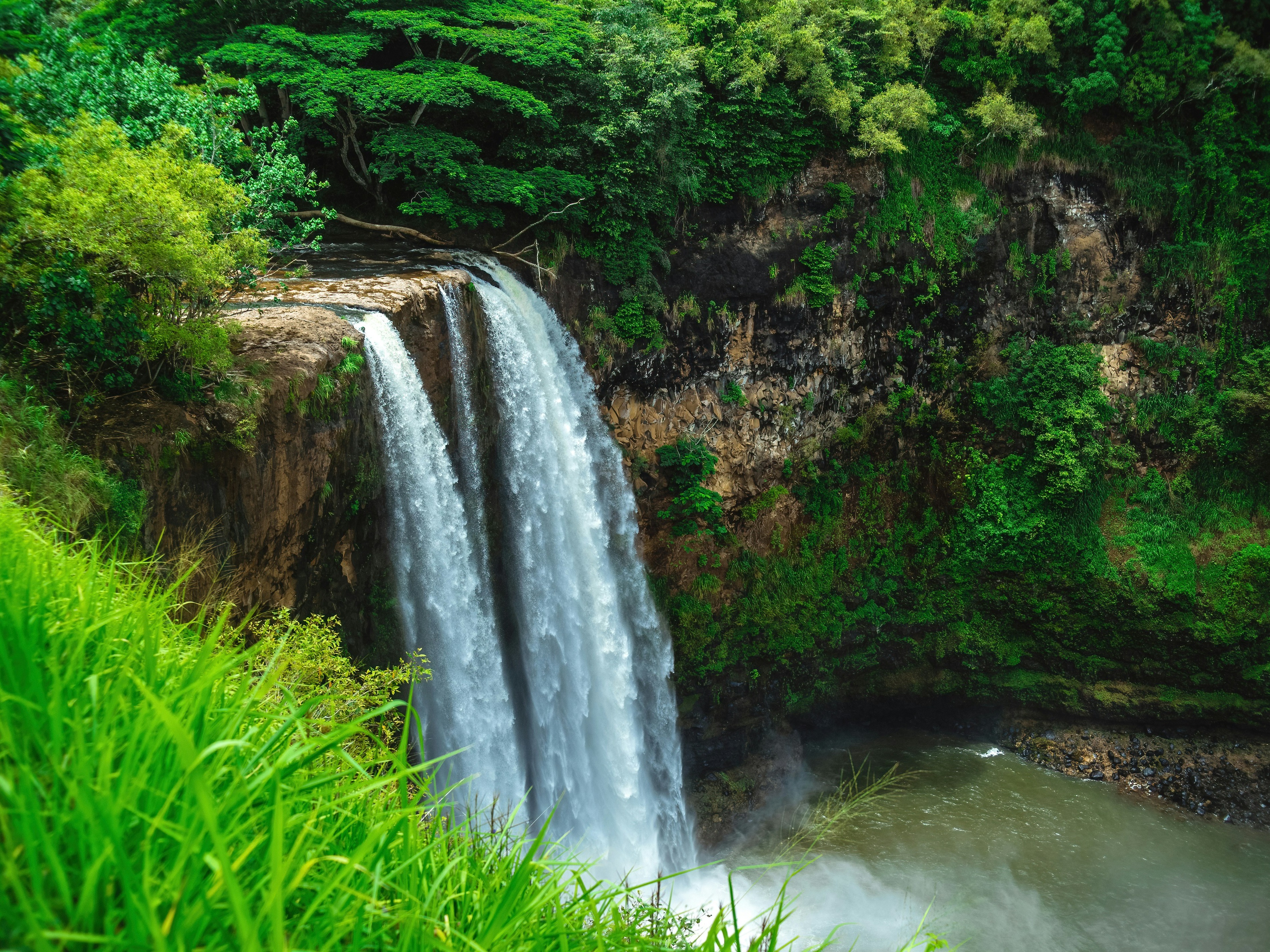 A lush waterfall surrounded by vibrant greenery.