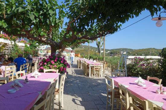 An outdoor dining area with pink tablecloth covered tables
