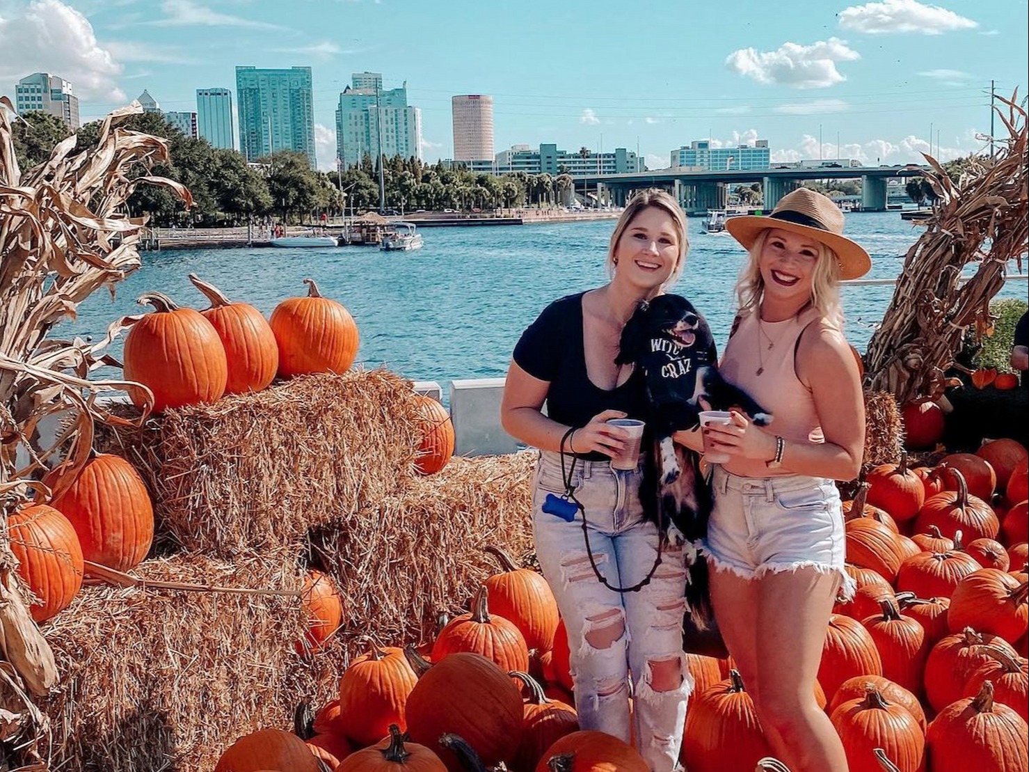 Two people stand in a pumpkin patch with a city skyline in the background