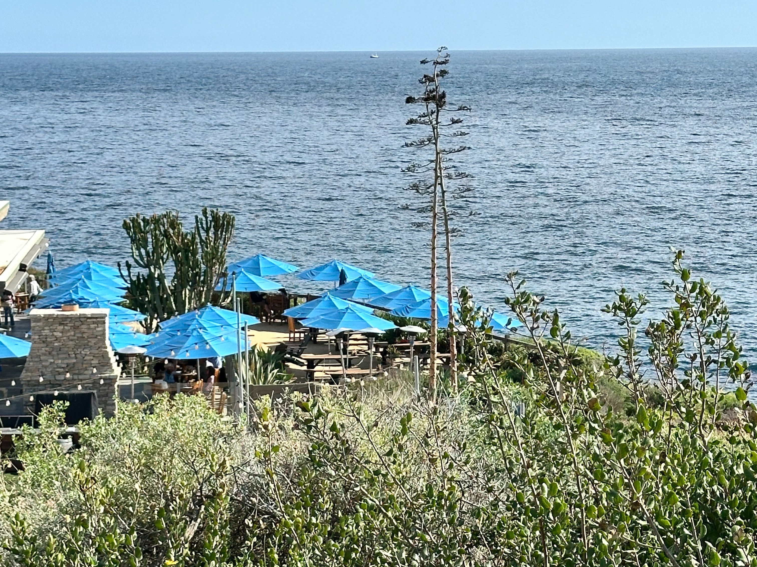 Blue table umbrellas next to a body of water during the daytime
