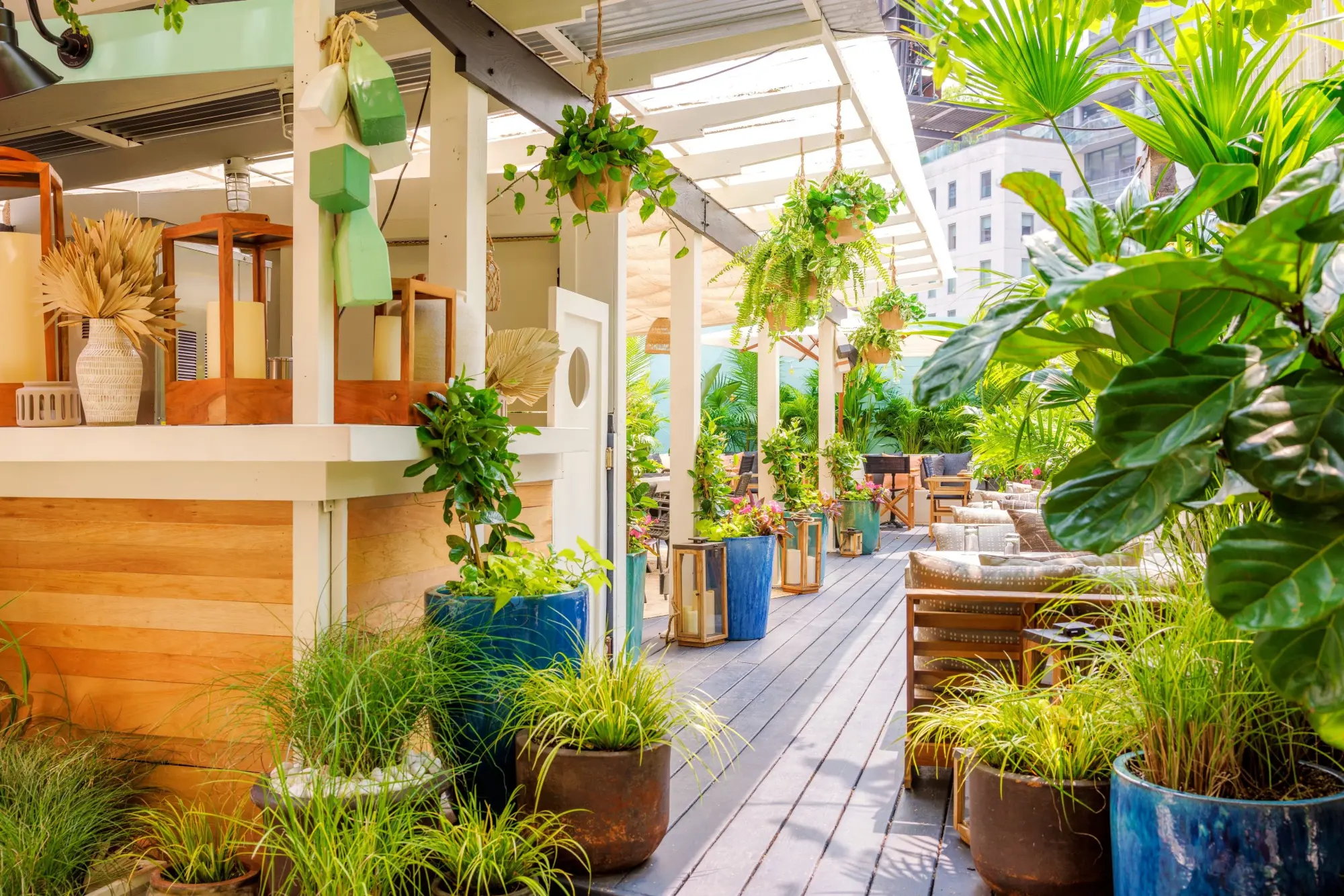 Chic, outdoor common area with dozens of potted plants and a large awning for shade