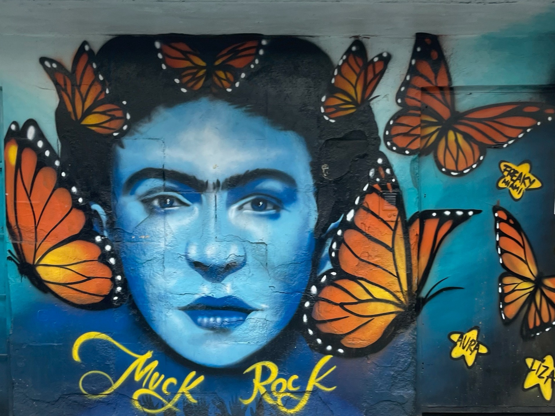 Graffiti of orange and black butterflies on a blue and black background.