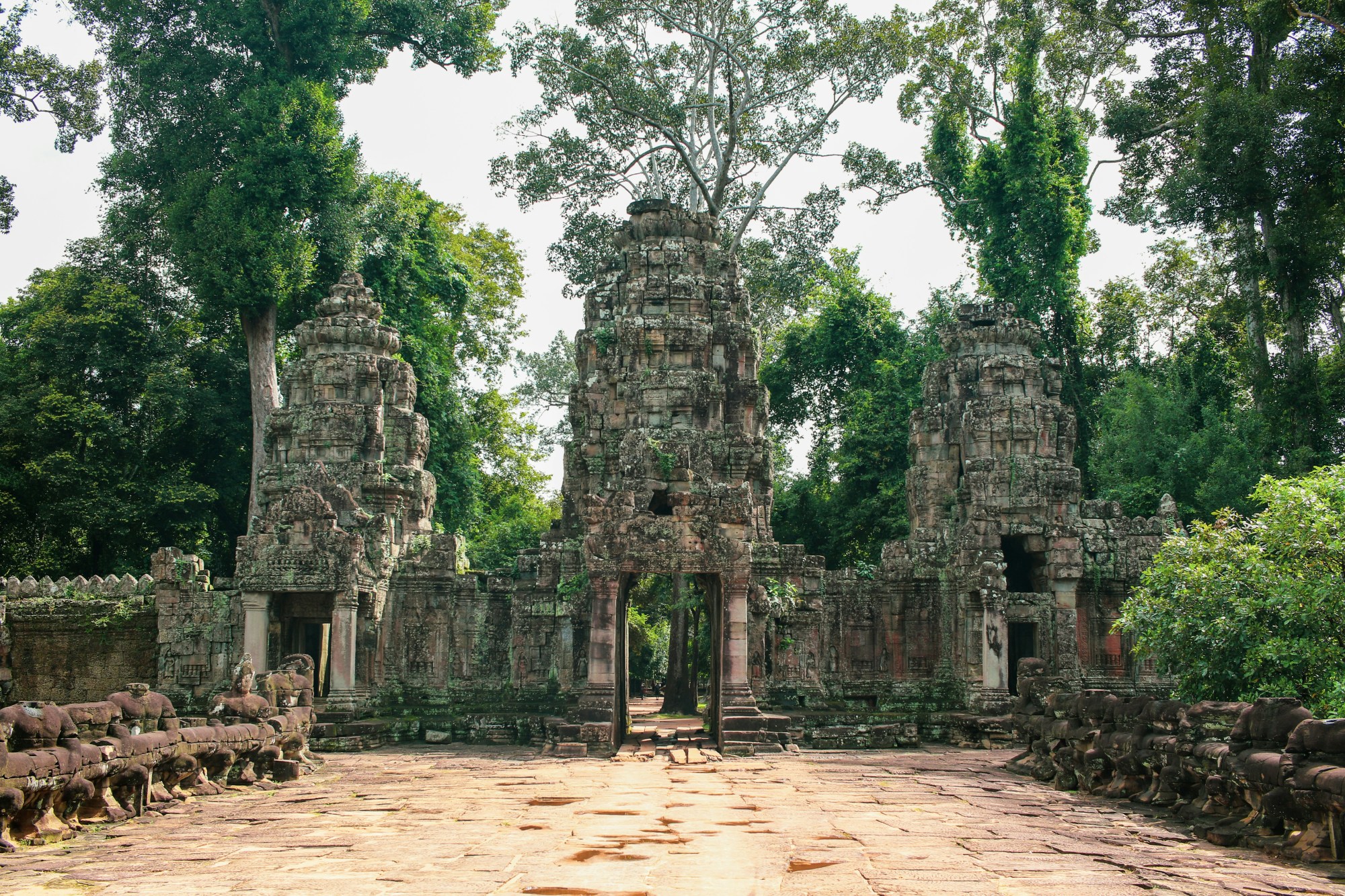 Siam Reap ruins in Cambodia stand tall against a clear sky and are surrounded by dense foliage.
