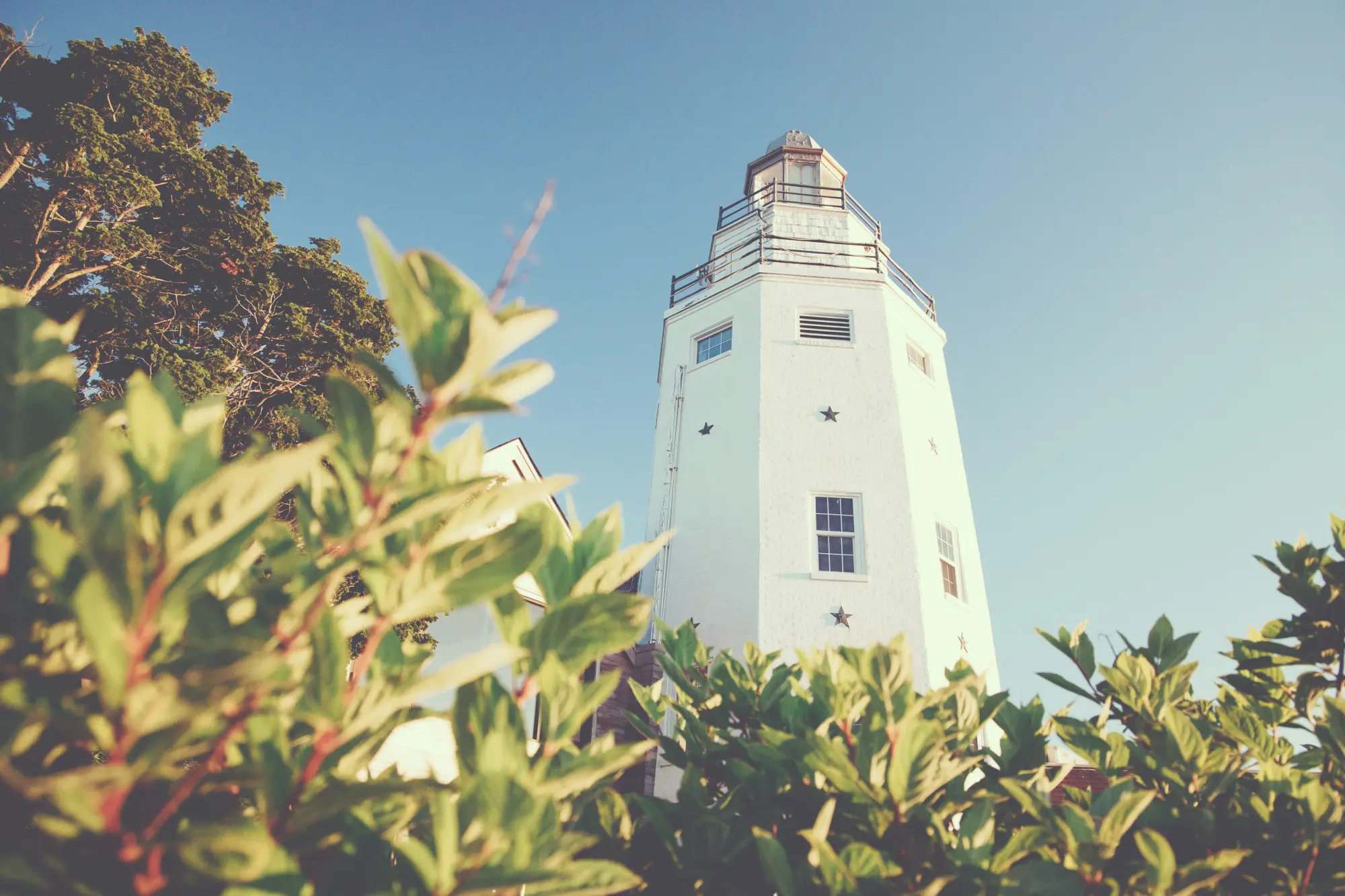 ground-view of Montauk Yacht Club's lighthouse tower rising up out of brush