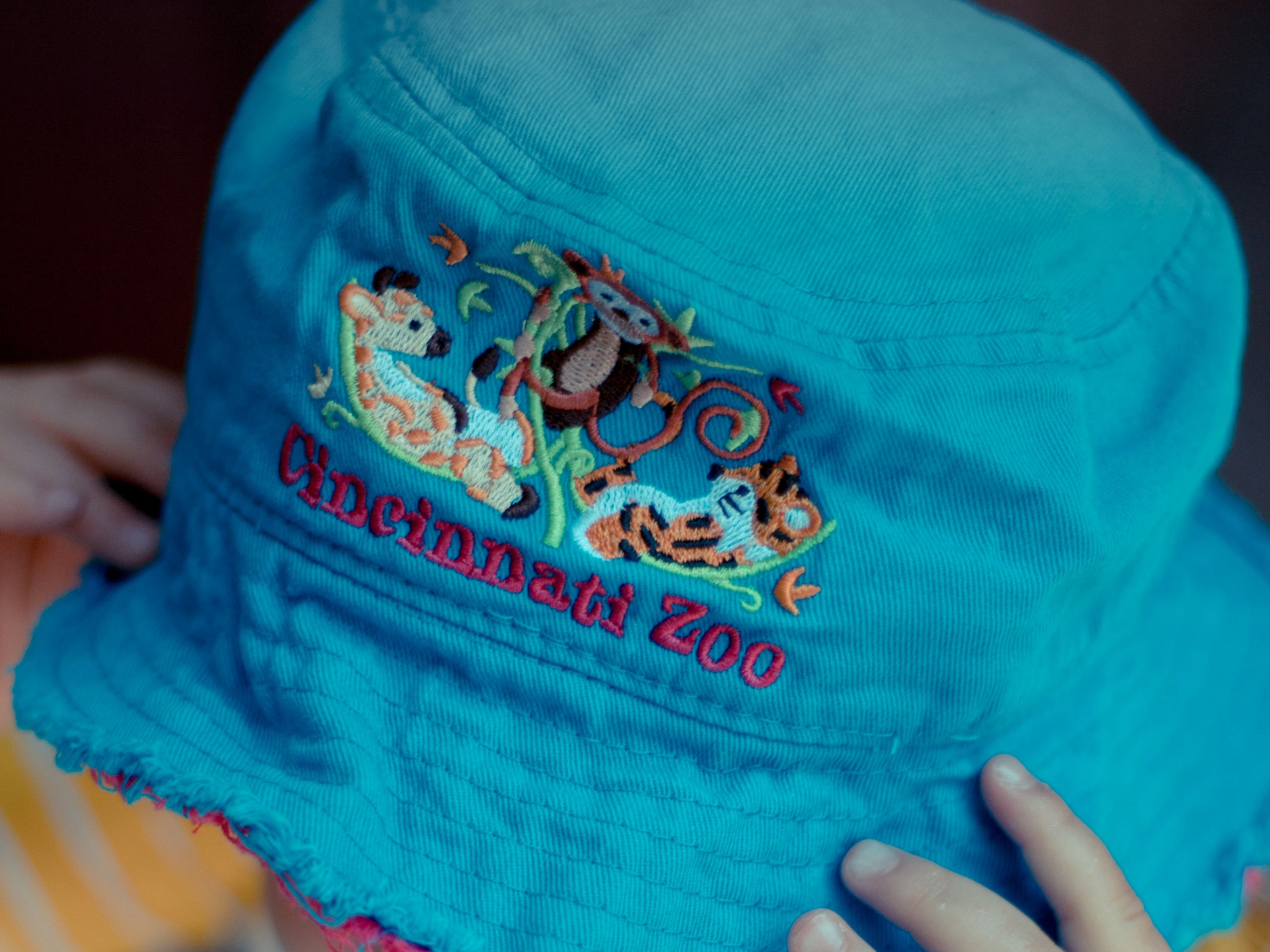A child wearing a blue hat reading "Cincinnati Zoo"