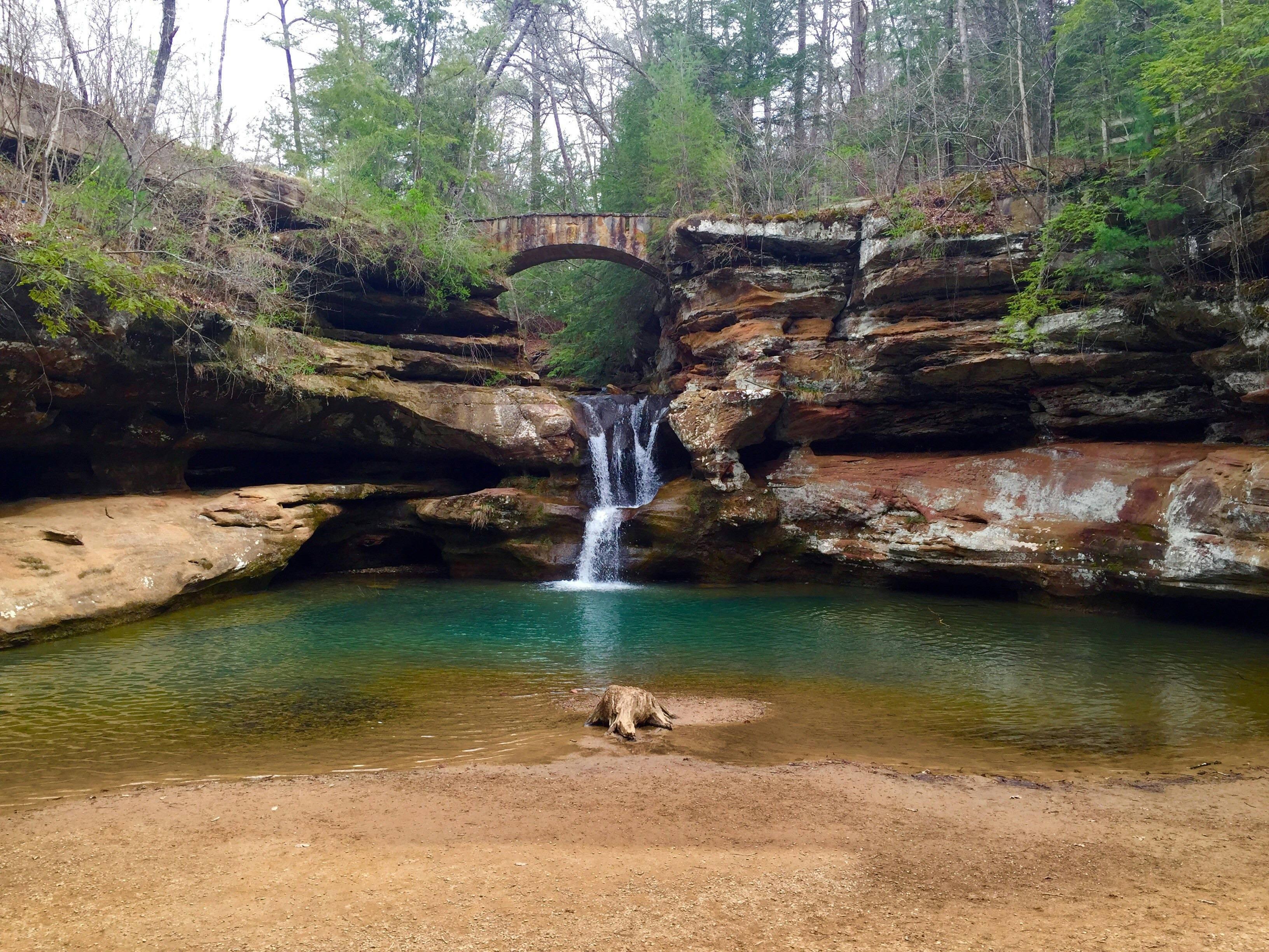 A natural waterfall falling into a small pool of water in a forest