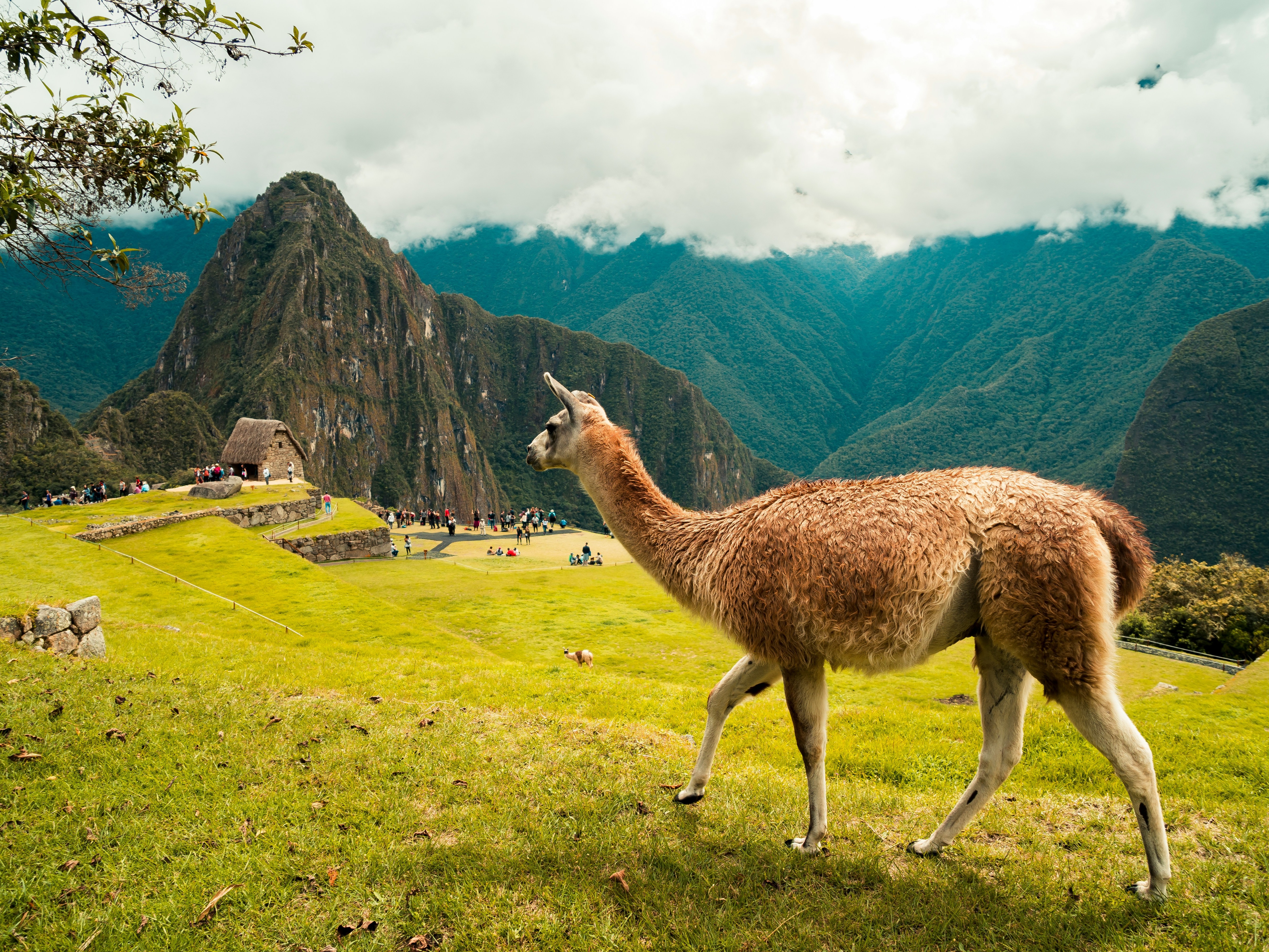 A llama stands in the foreground with the ancient Incan city of Machu Picchu in the background, set against lush green mountains under a partly cloudy sky.