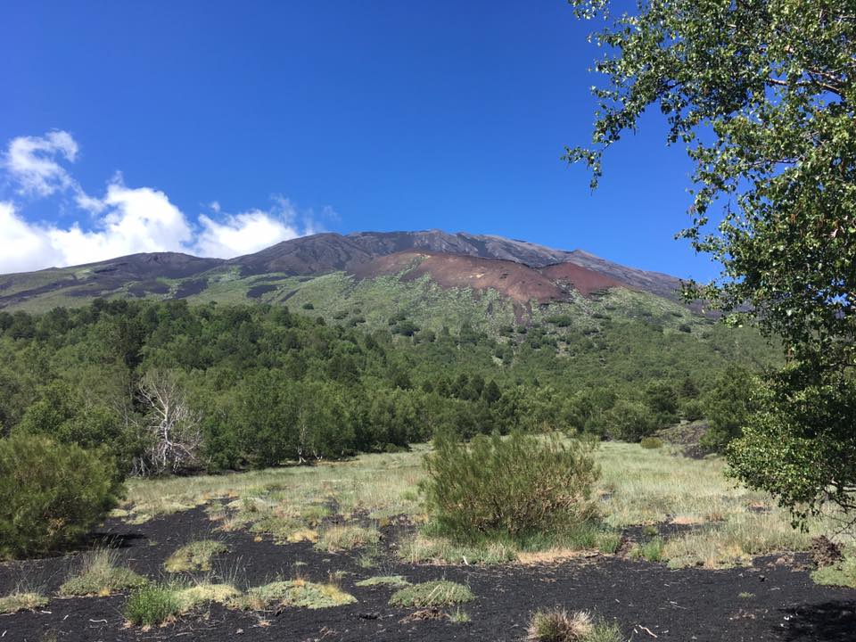 View of mountain during daytime.
