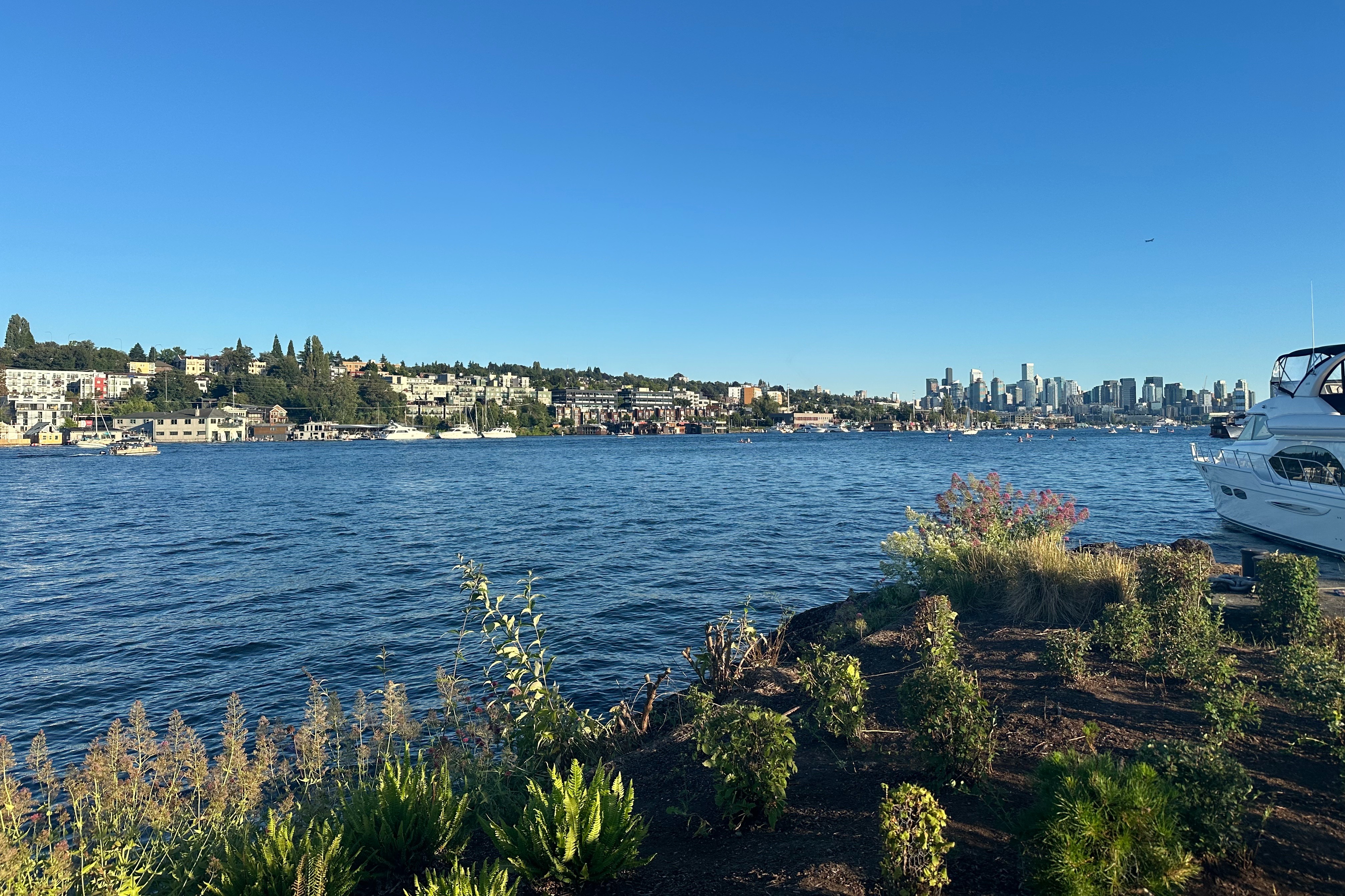 A view of the water.
