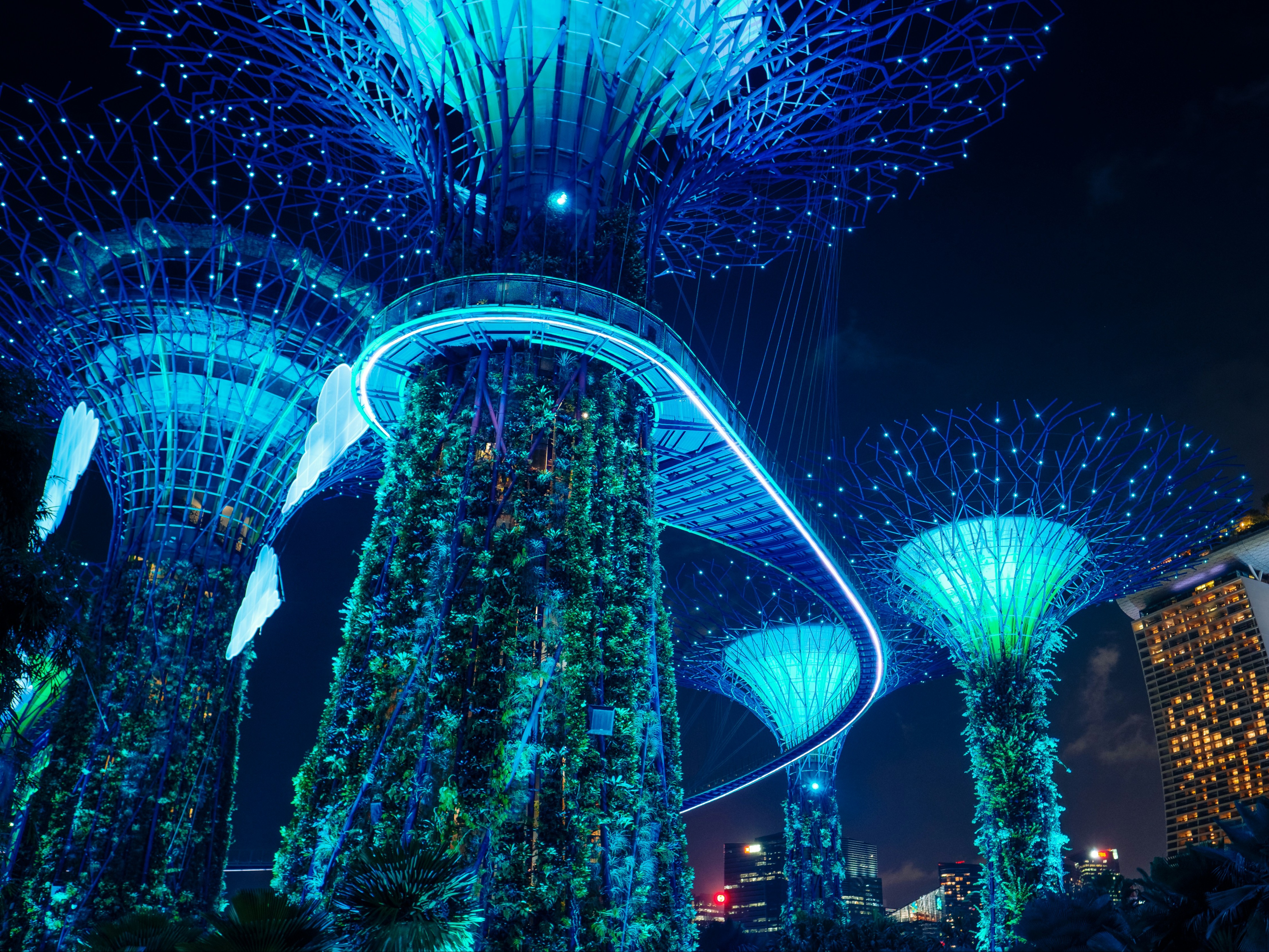 The image shows the illuminated Supertree structures at Gardens by the Bay in Singapore at night.