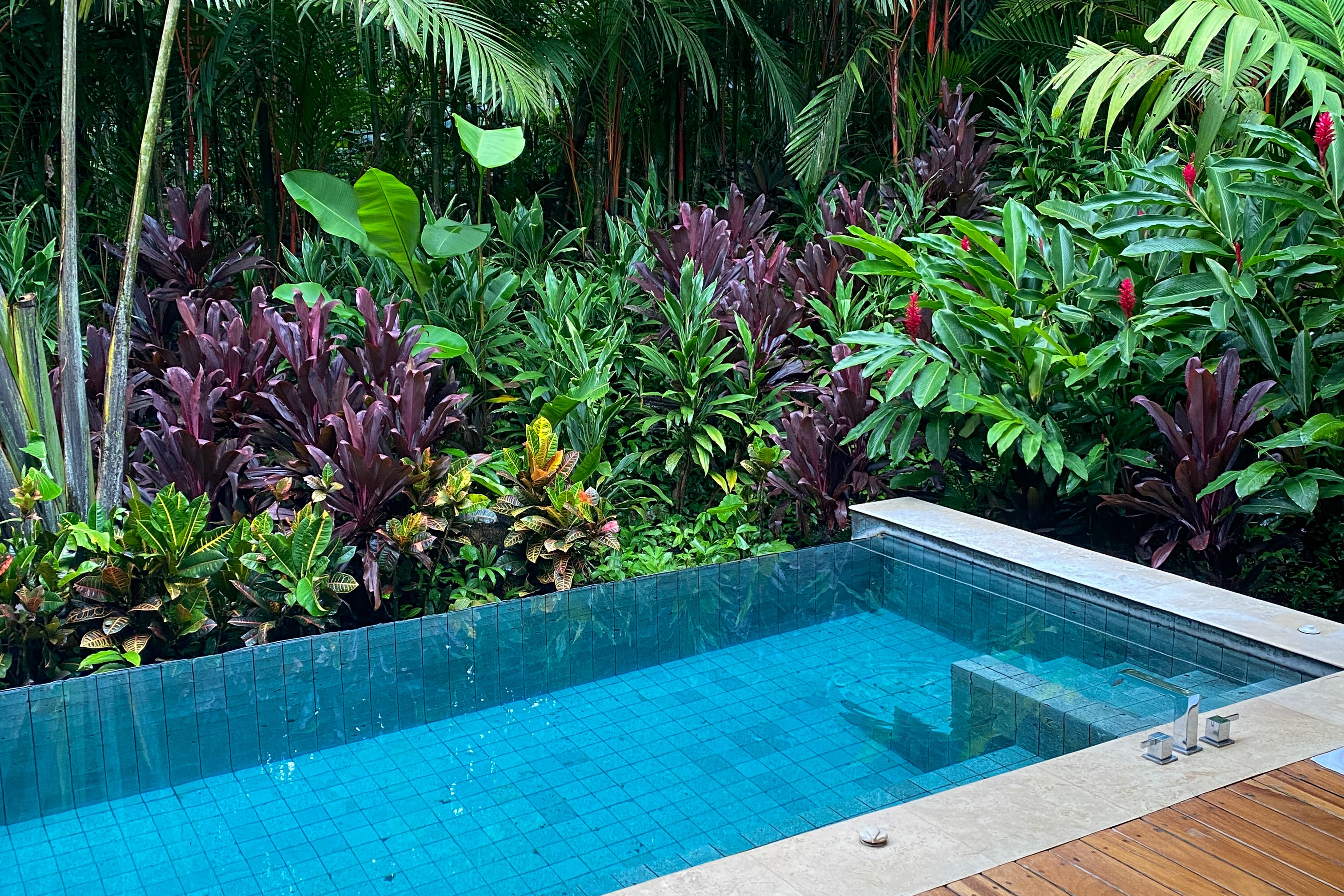 Villa plunge pool at Nayara surrounded by greenery on a sunny day.