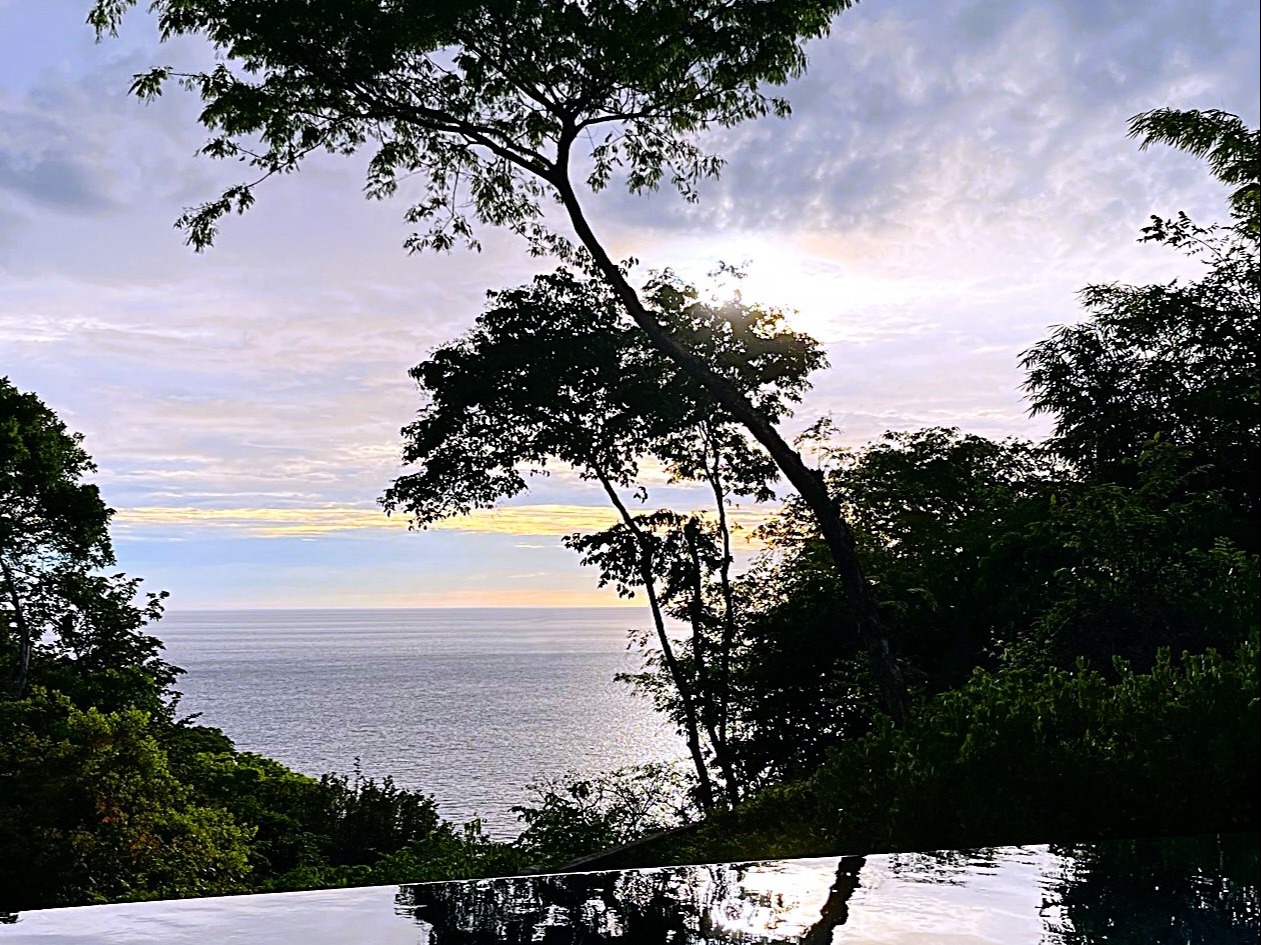 An infinity pool overlooks a calm sea, framed by silhouetted trees against a sunset sky.