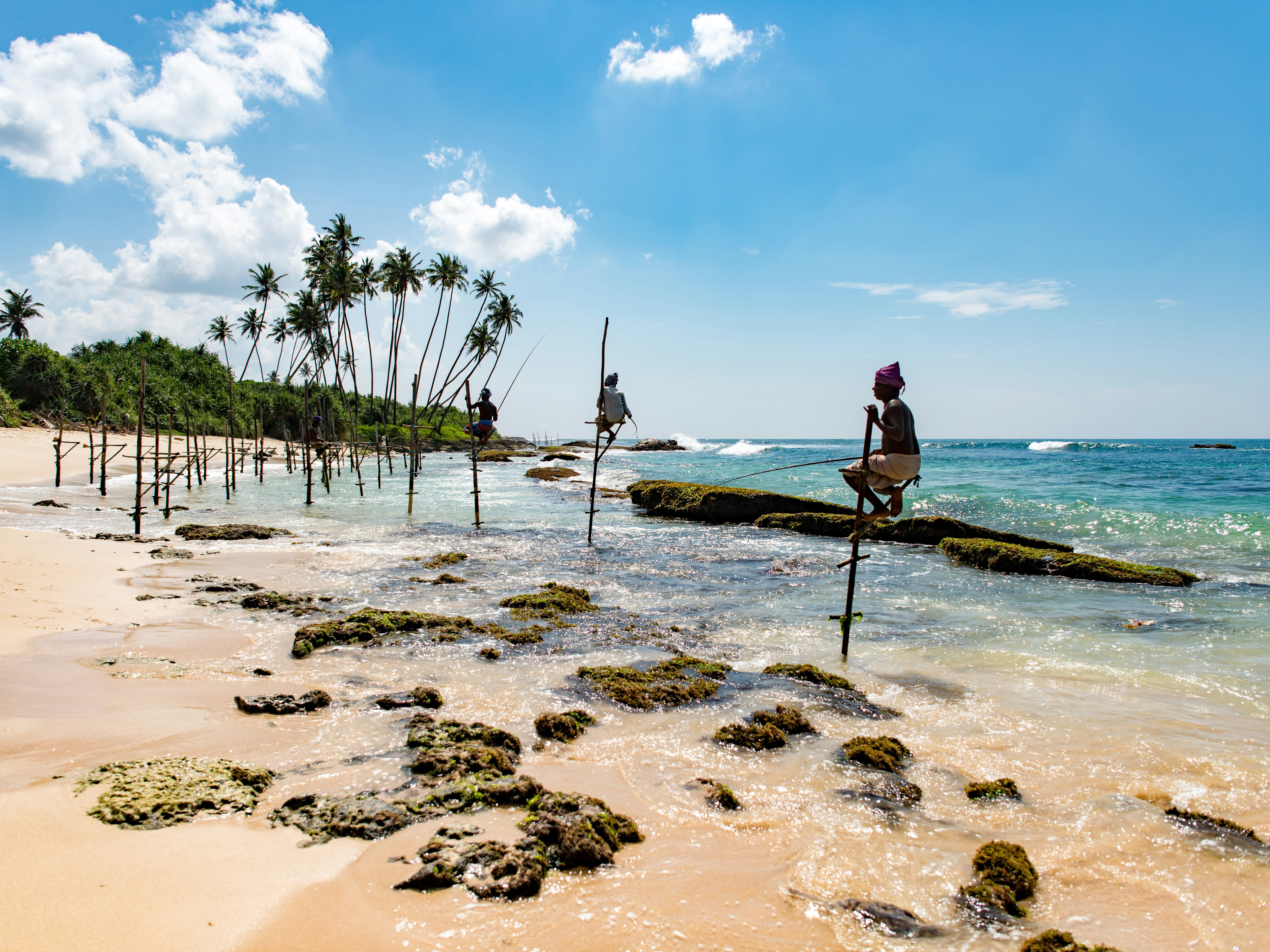 A person sits atop a wooden post on a serene beach, surrounded by clear blue skies, palm trees, and the ocean.