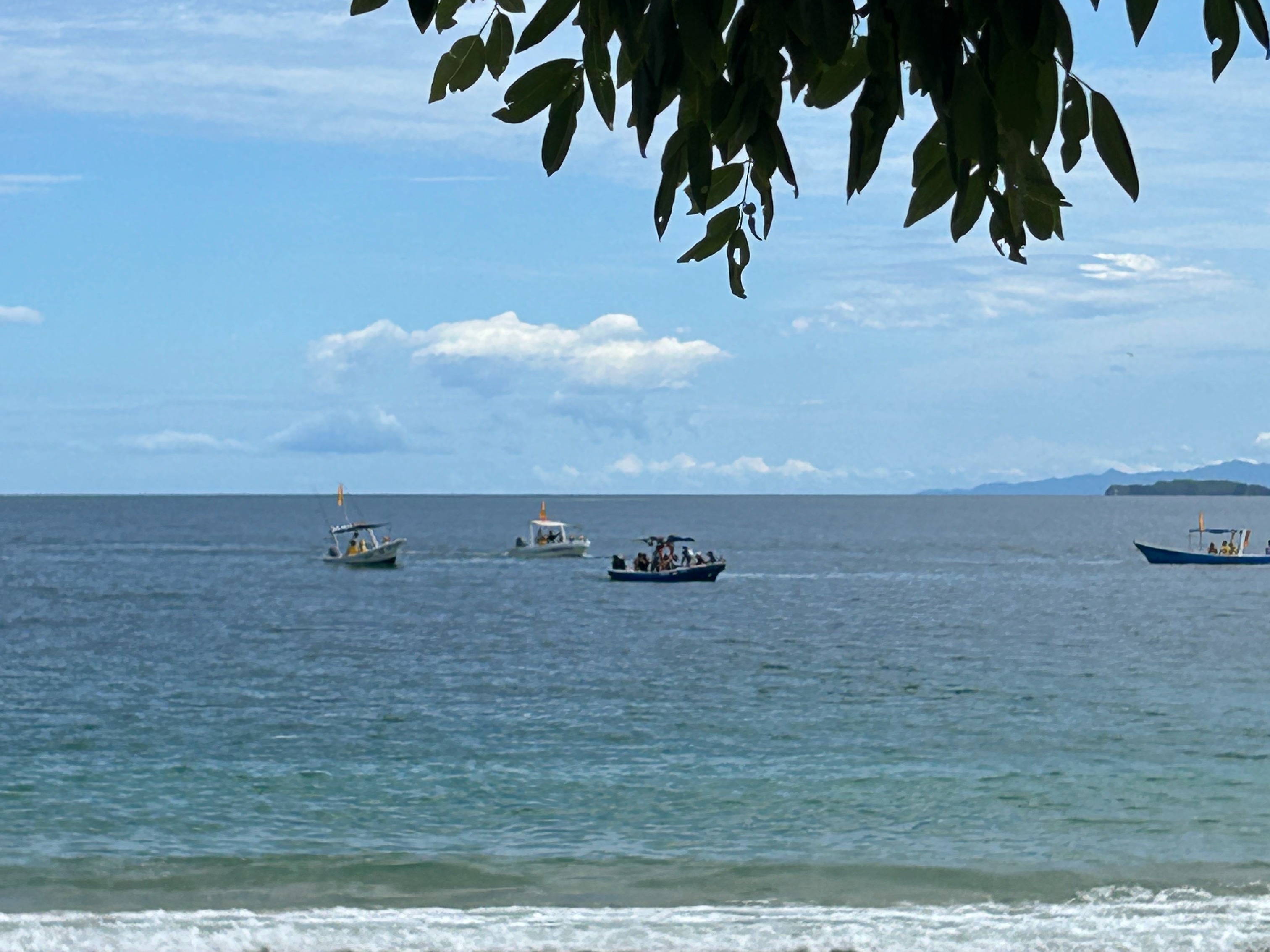 A serene beach scene with boats on the water, framed by tree foliage at the top.