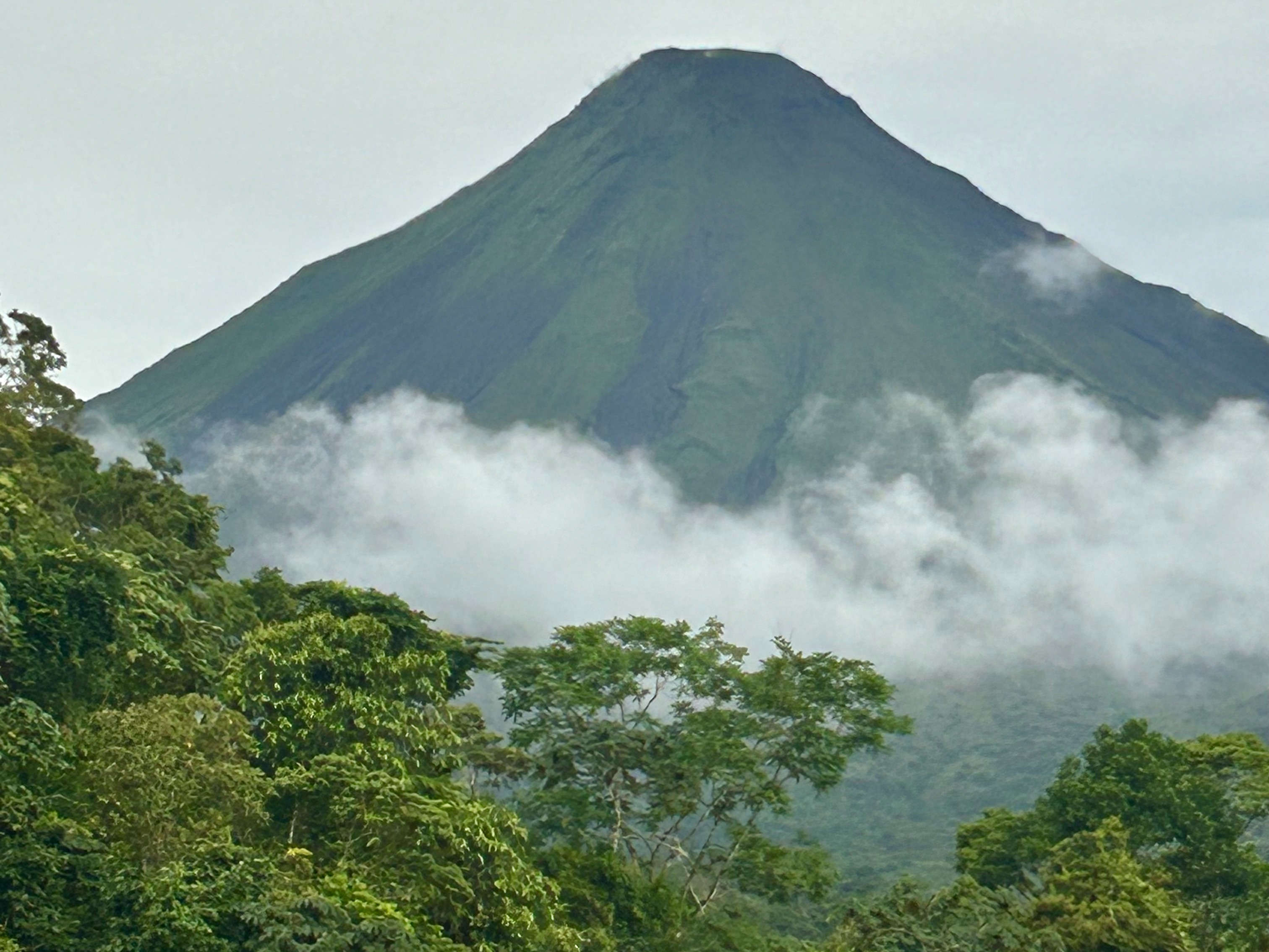 A lush green mountain peak emerges from low-lying clouds.