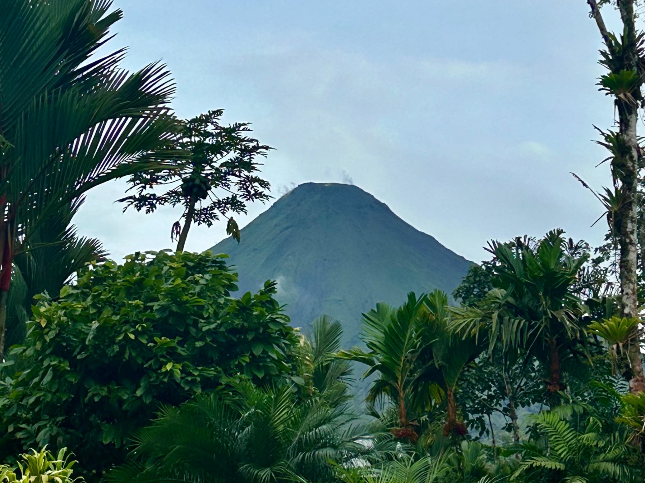 A lush green landscape with a prominent volcano in the background under a clear blue sky.